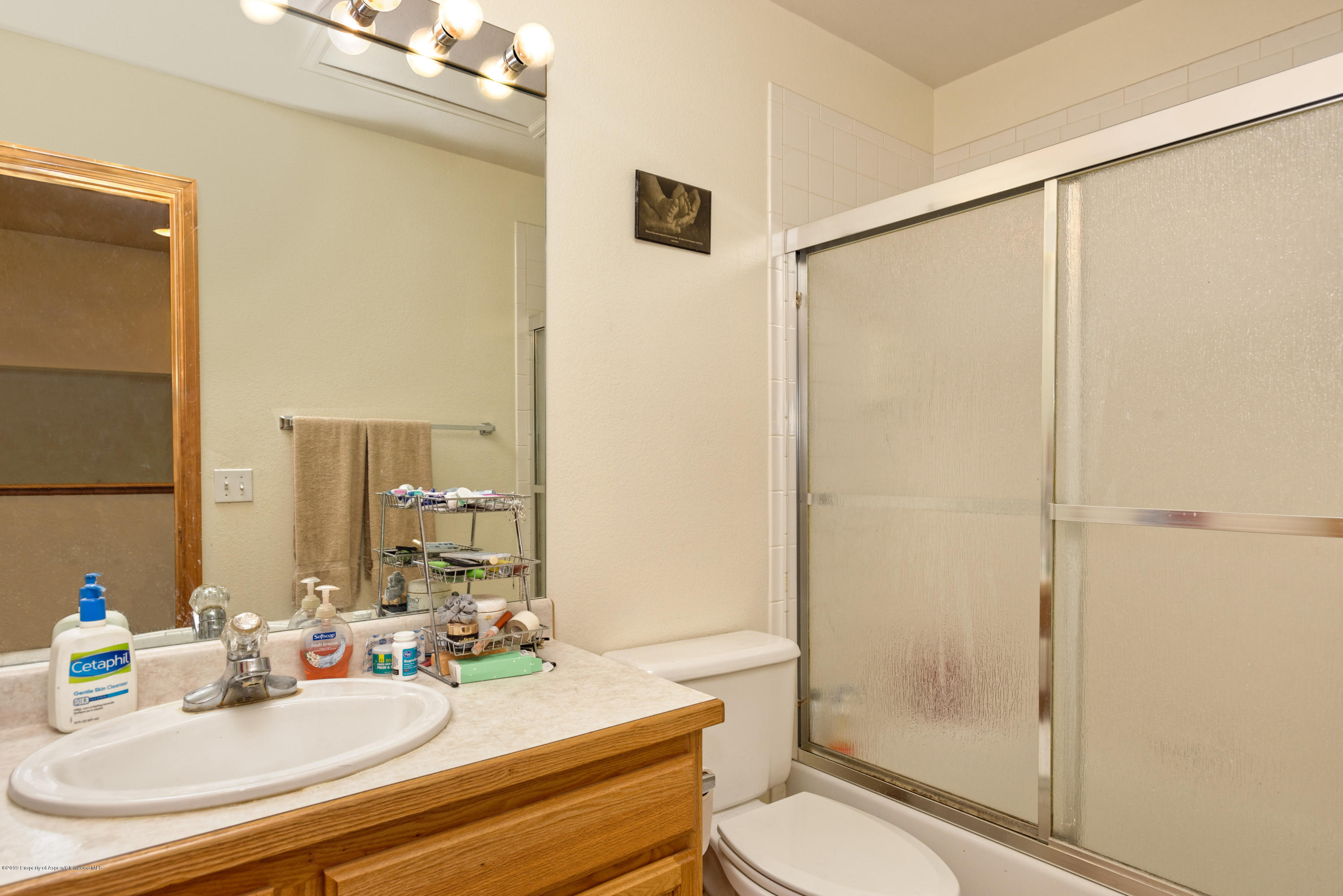 201 Dakota Meadows Drive Carbondale CO 81623