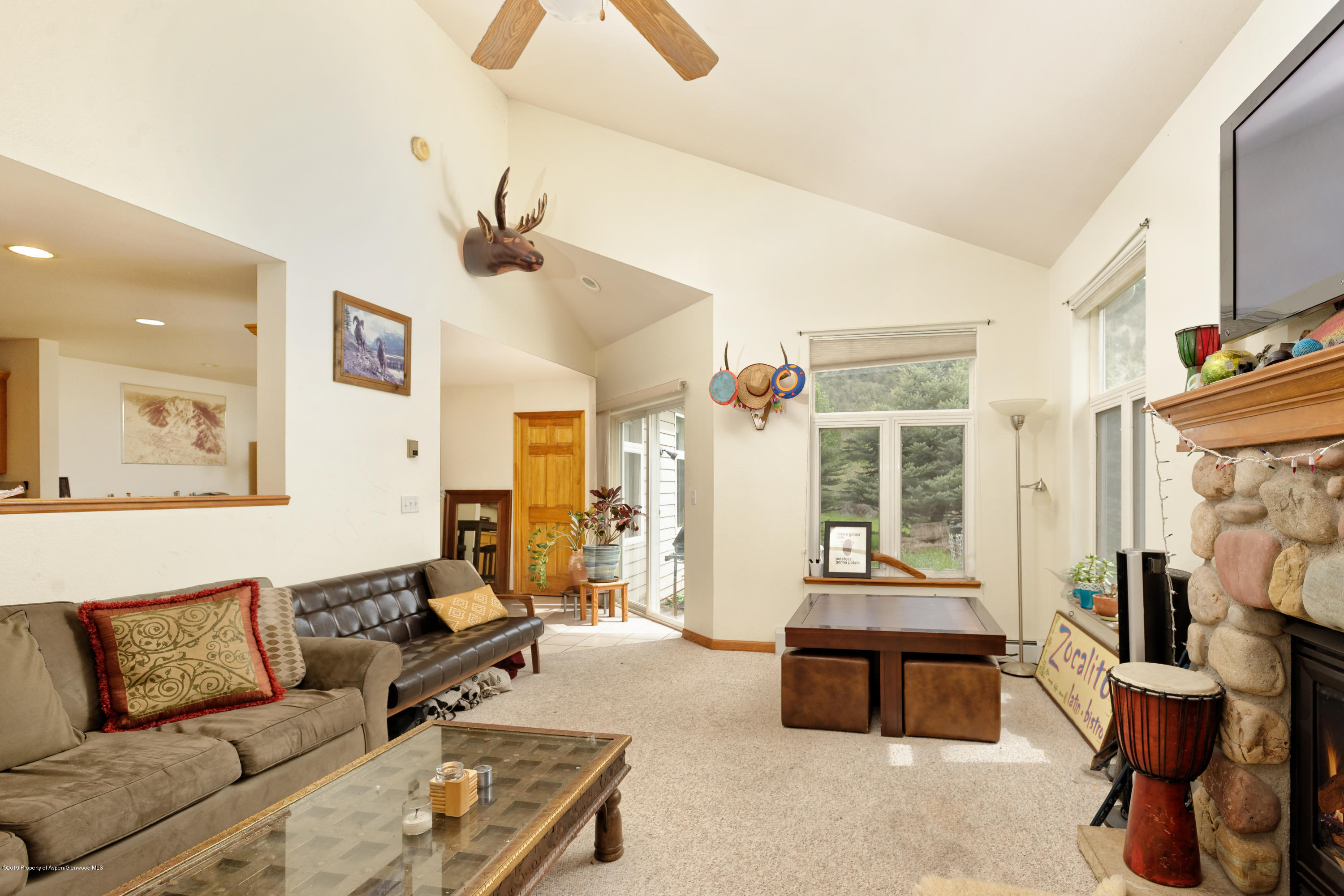 201 Dakota Meadows Drive Carbondale CO 81623
