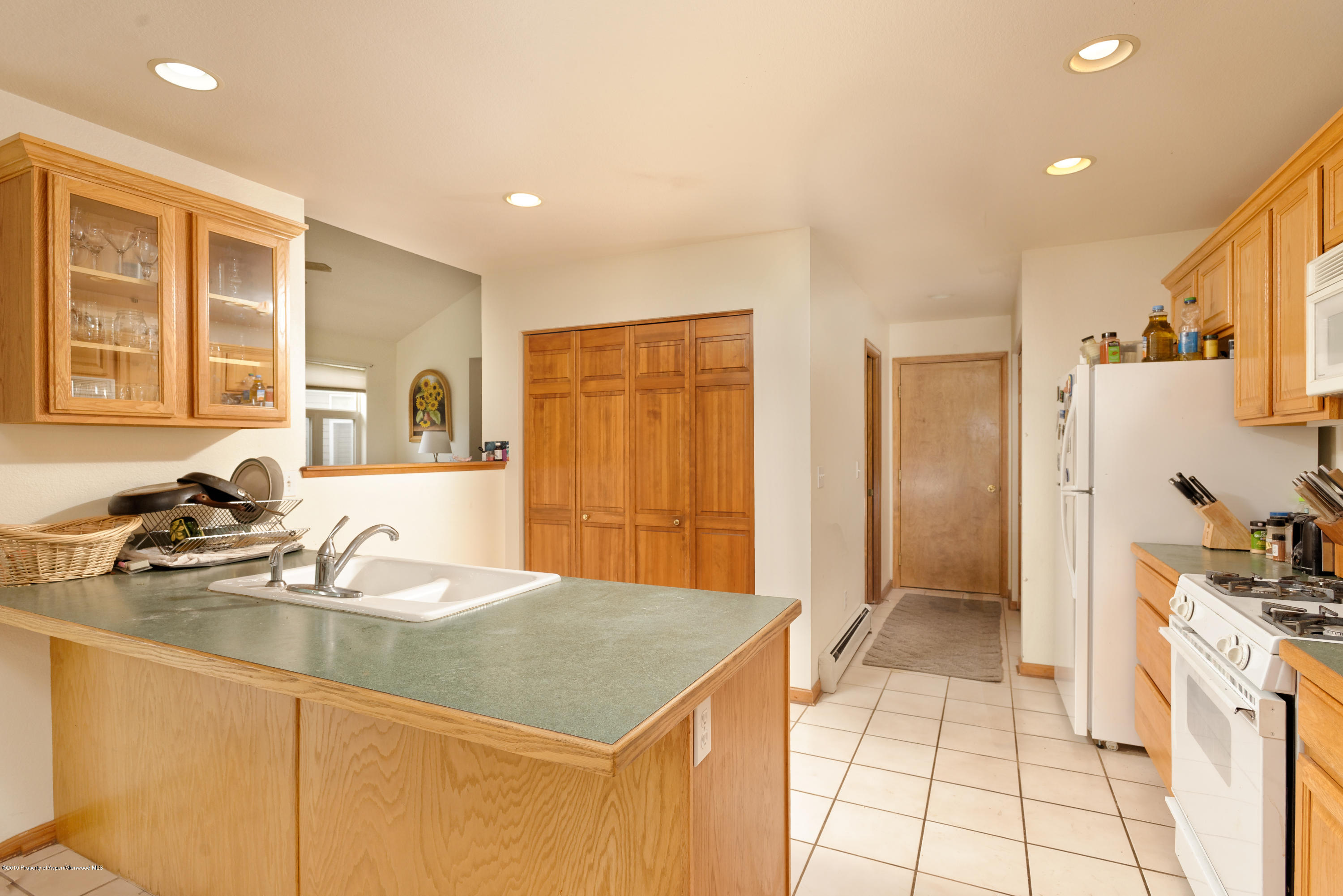 201 Dakota Meadows Drive Carbondale CO 81623
