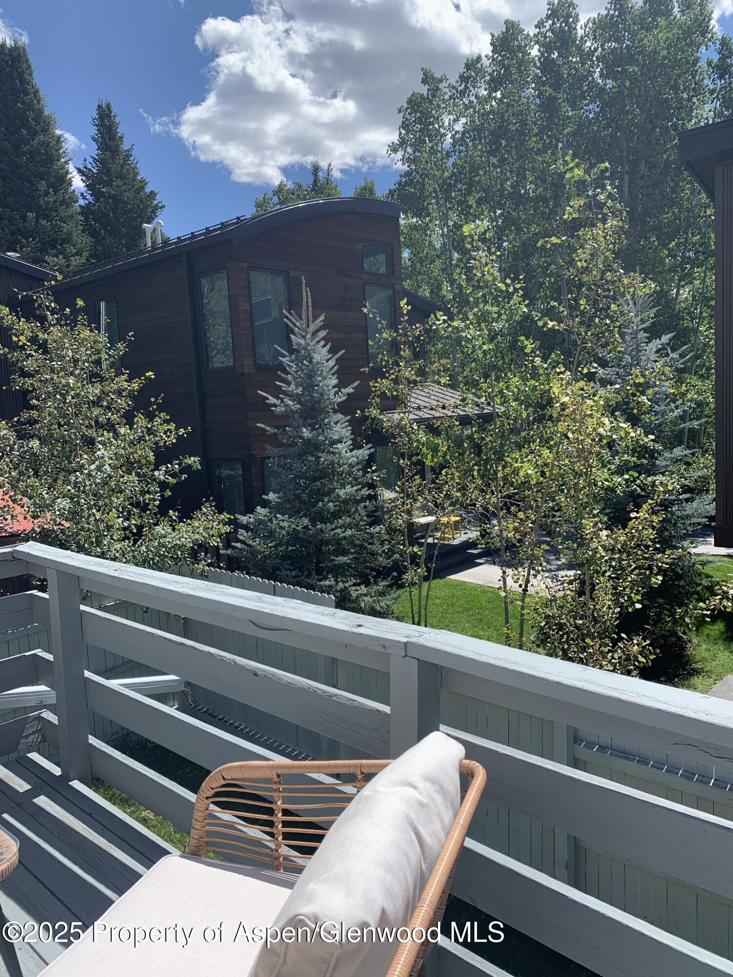 534 & 536 Spruce Street Aspen CO 81611