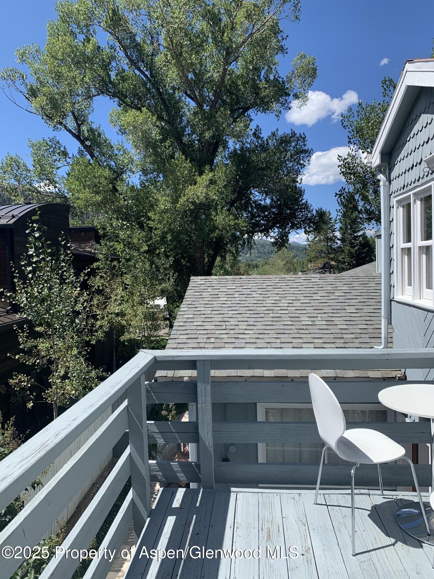 534 & 536 Spruce Street Aspen CO 81611