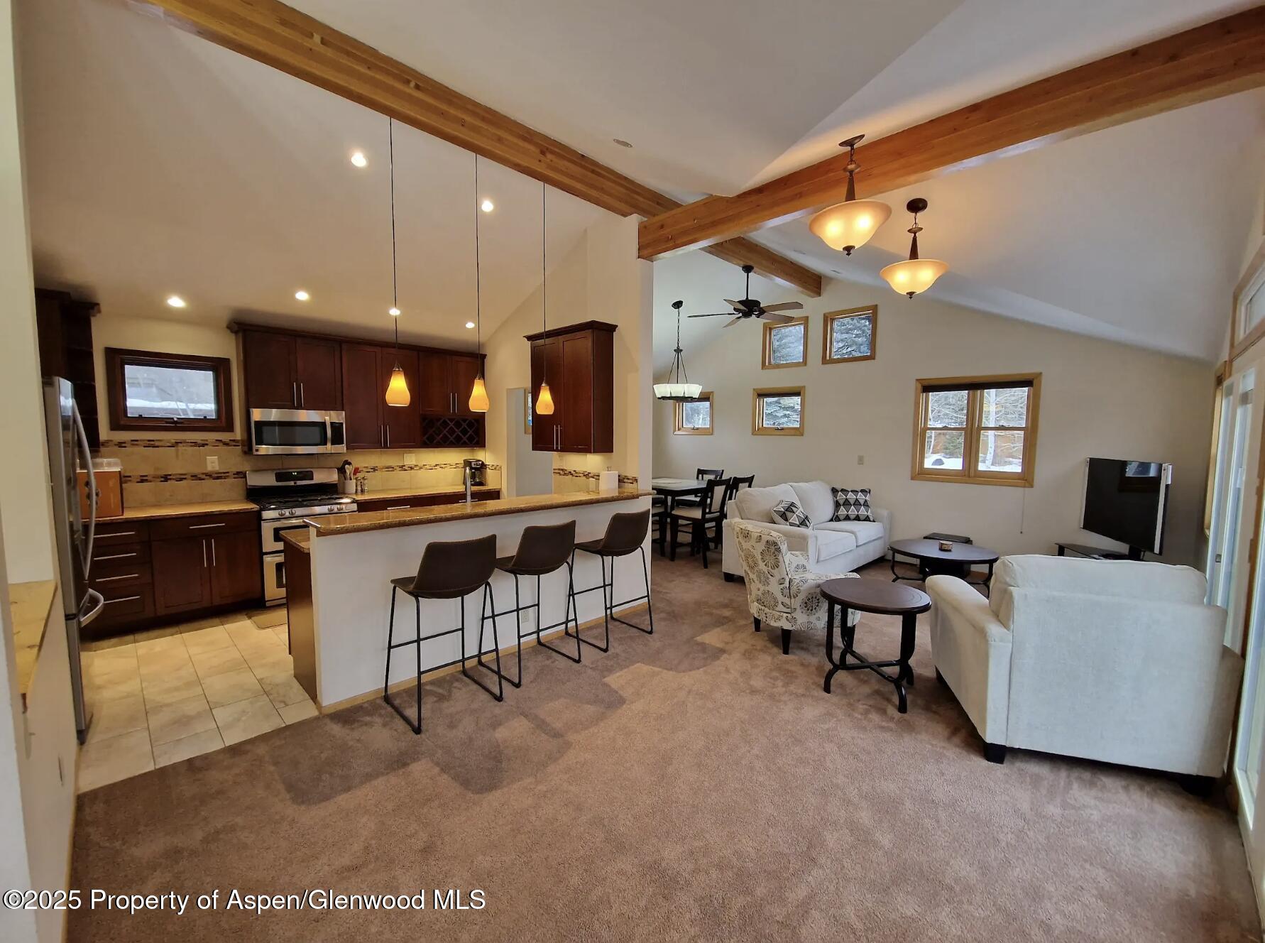 534 & 536 Spruce Street Aspen CO 81611