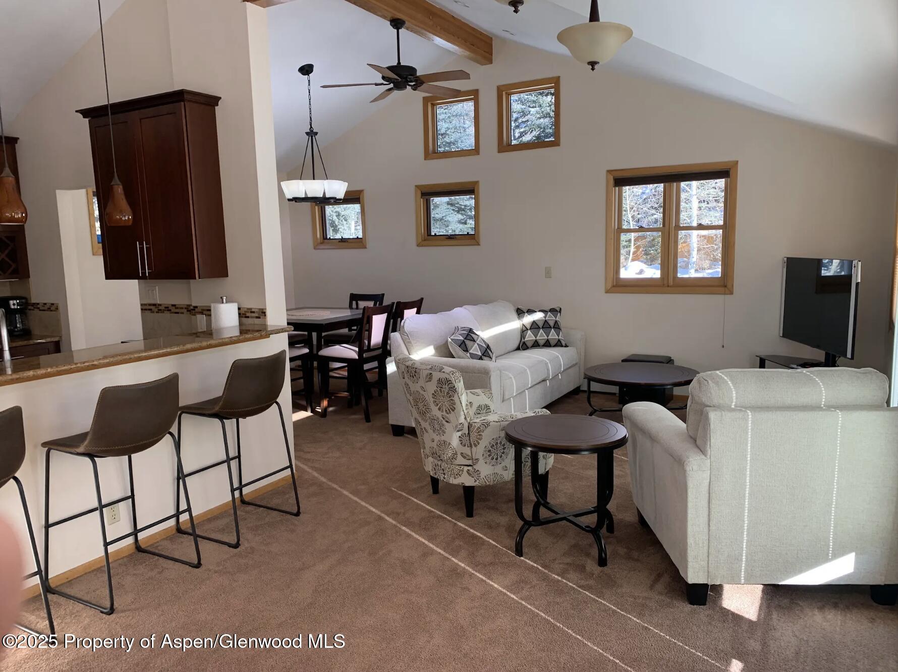 534 & 536 Spruce Street Aspen CO 81611