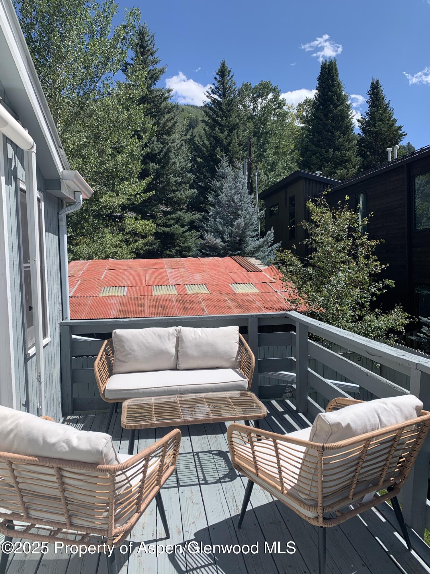 534 & 536 Spruce Street Aspen CO 81611