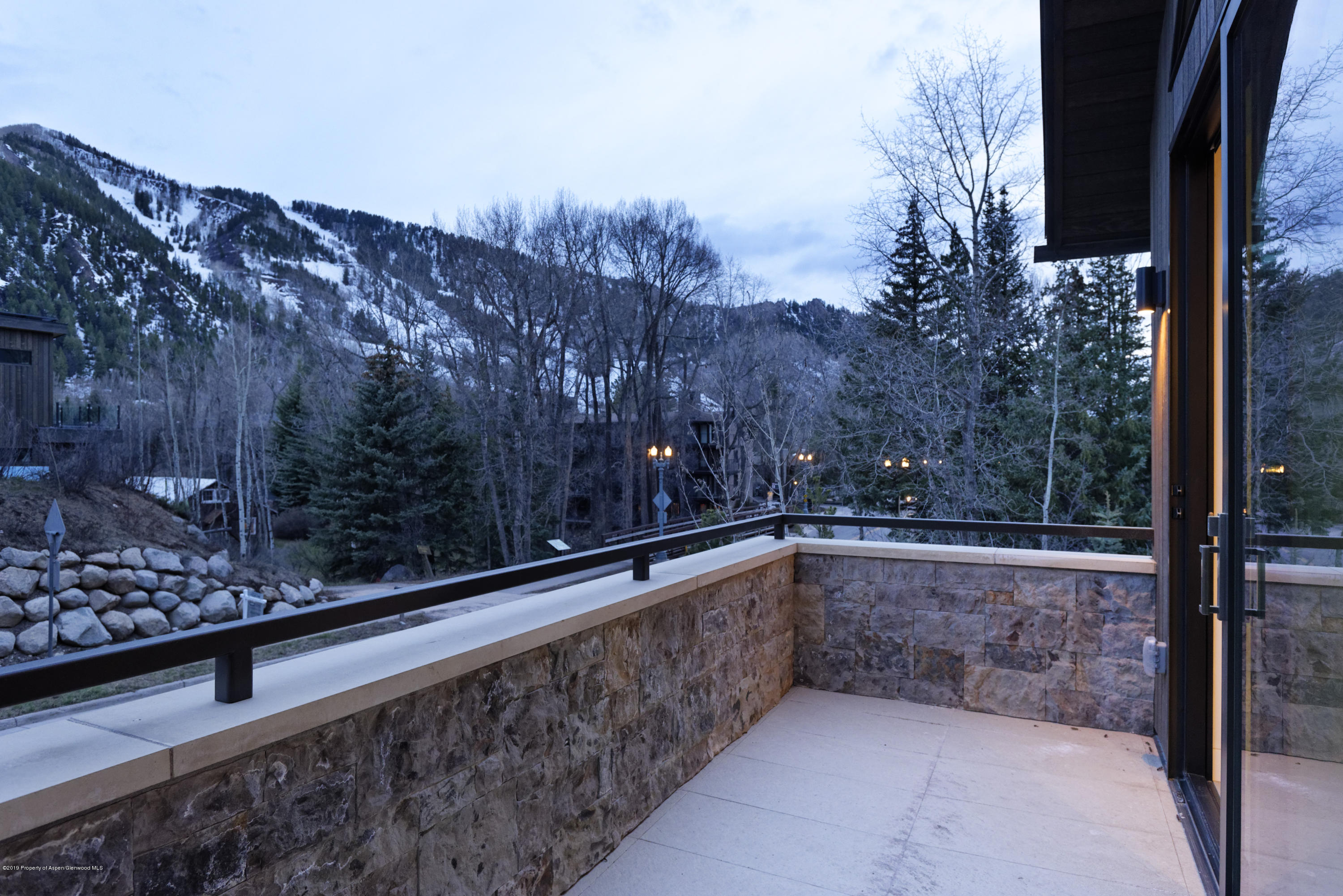 1154 E Cooper Avenue Aspen CO 81611