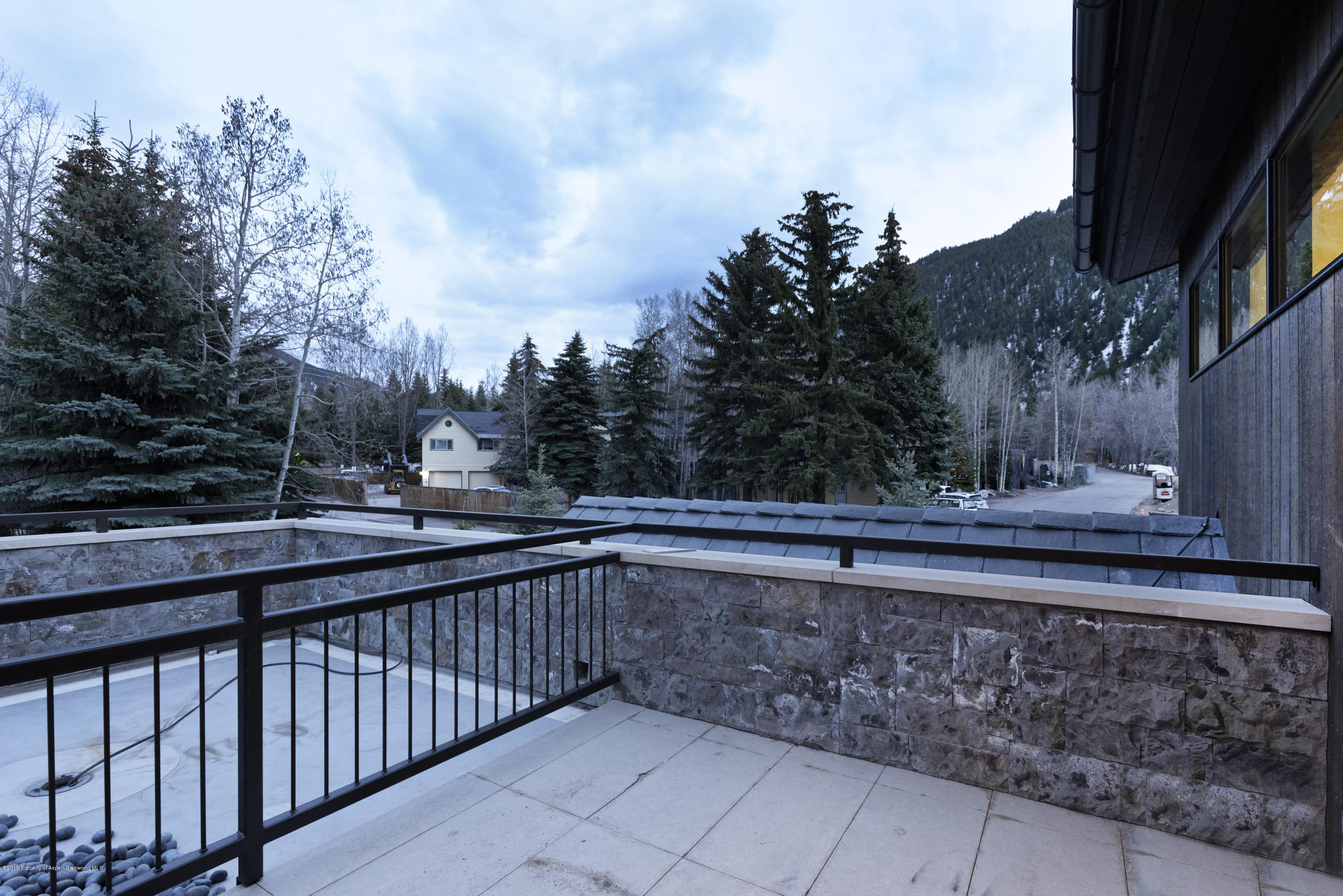 1154 E Cooper Avenue Aspen CO 81611