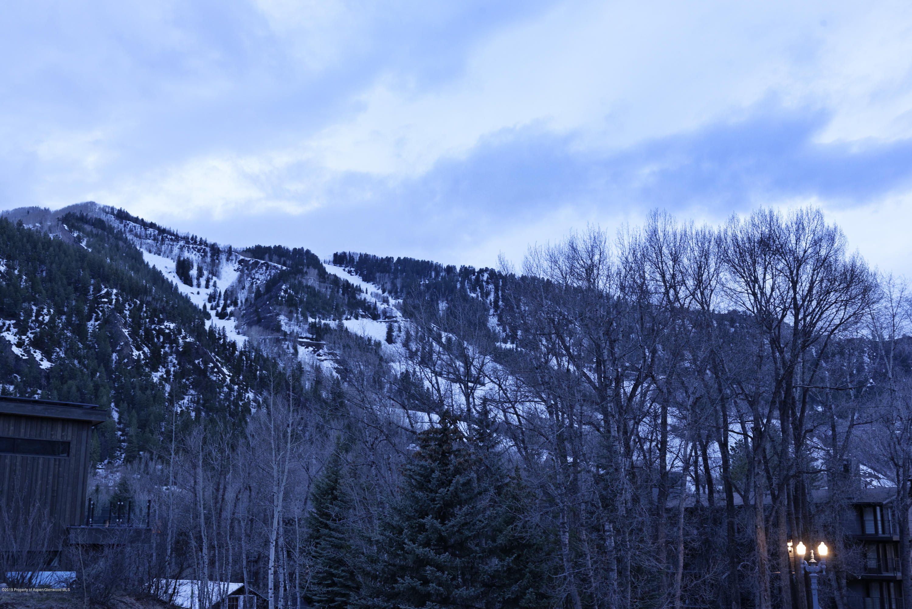 1154 E Cooper Avenue Aspen CO 81611