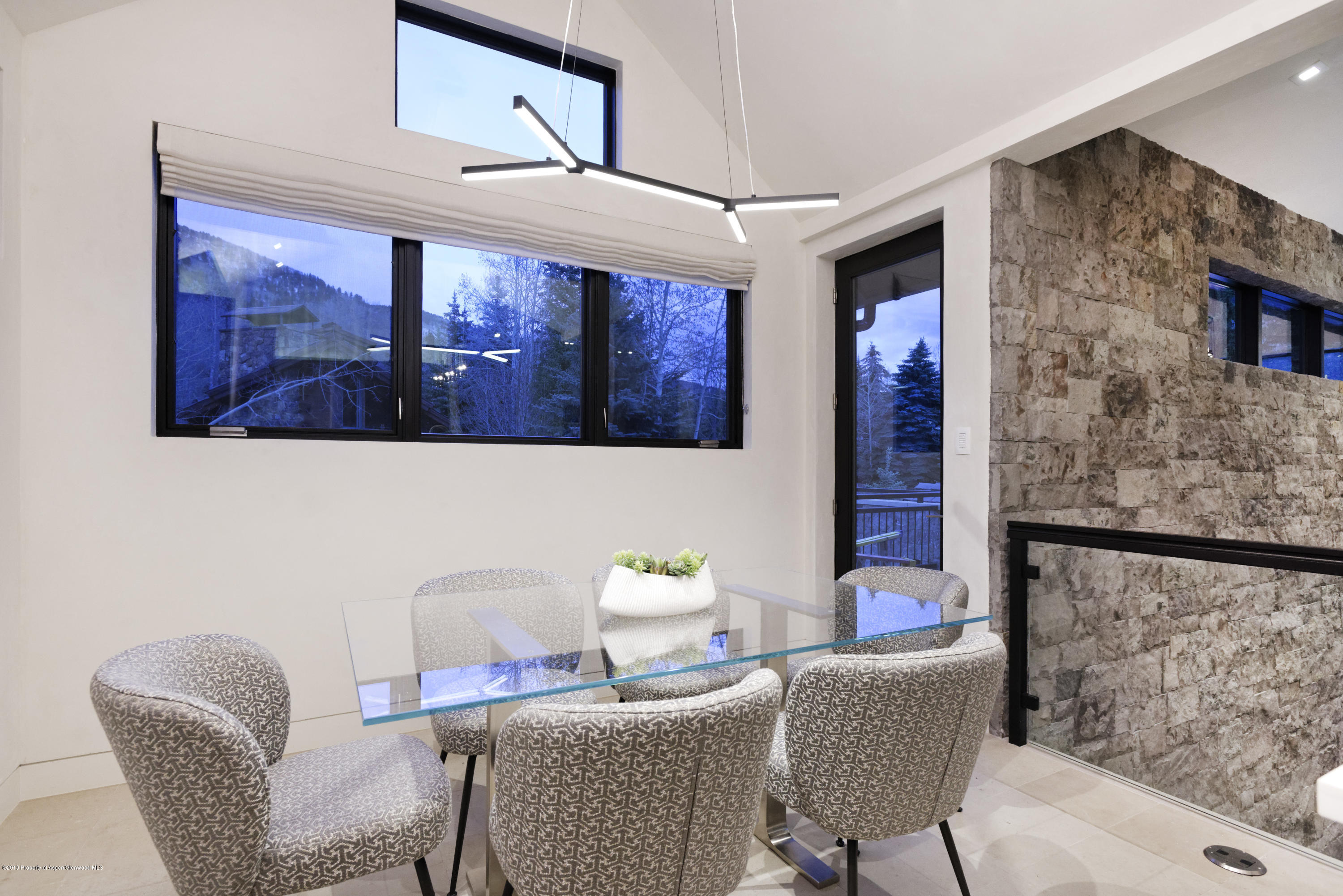 1154 E Cooper Avenue Aspen CO 81611