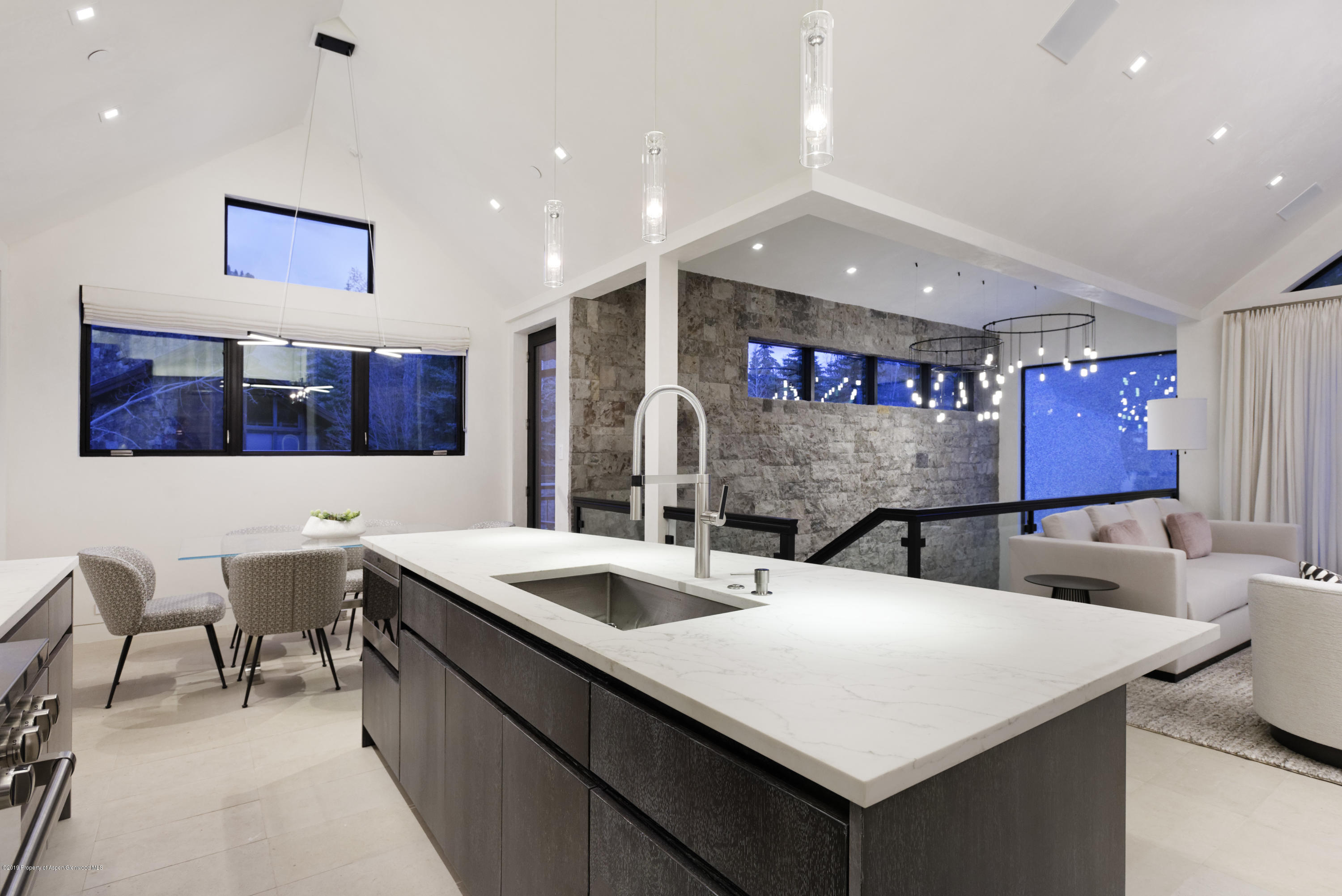 1154 E Cooper Avenue Aspen CO 81611