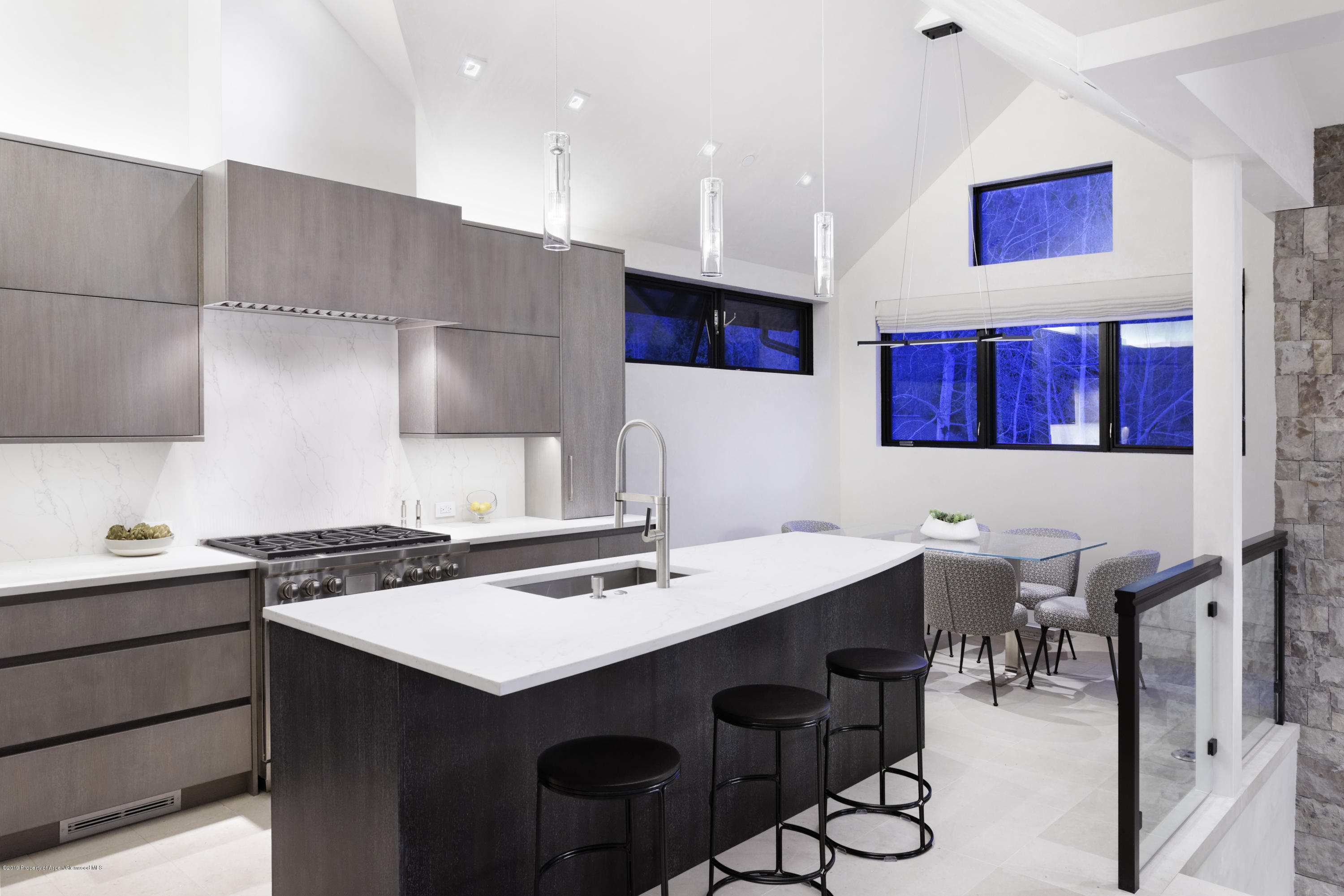 1154 E Cooper Avenue Aspen CO 81611