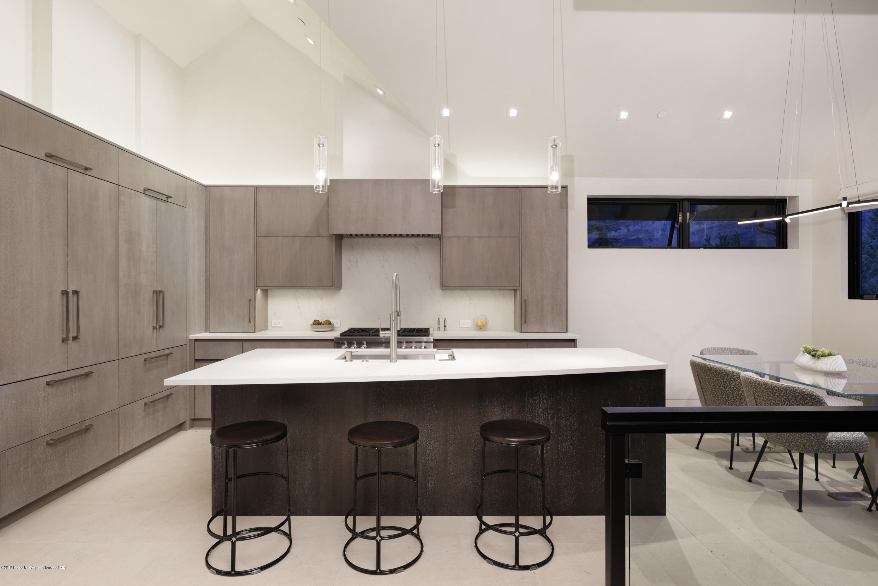 1154 E Cooper Avenue Aspen CO 81611