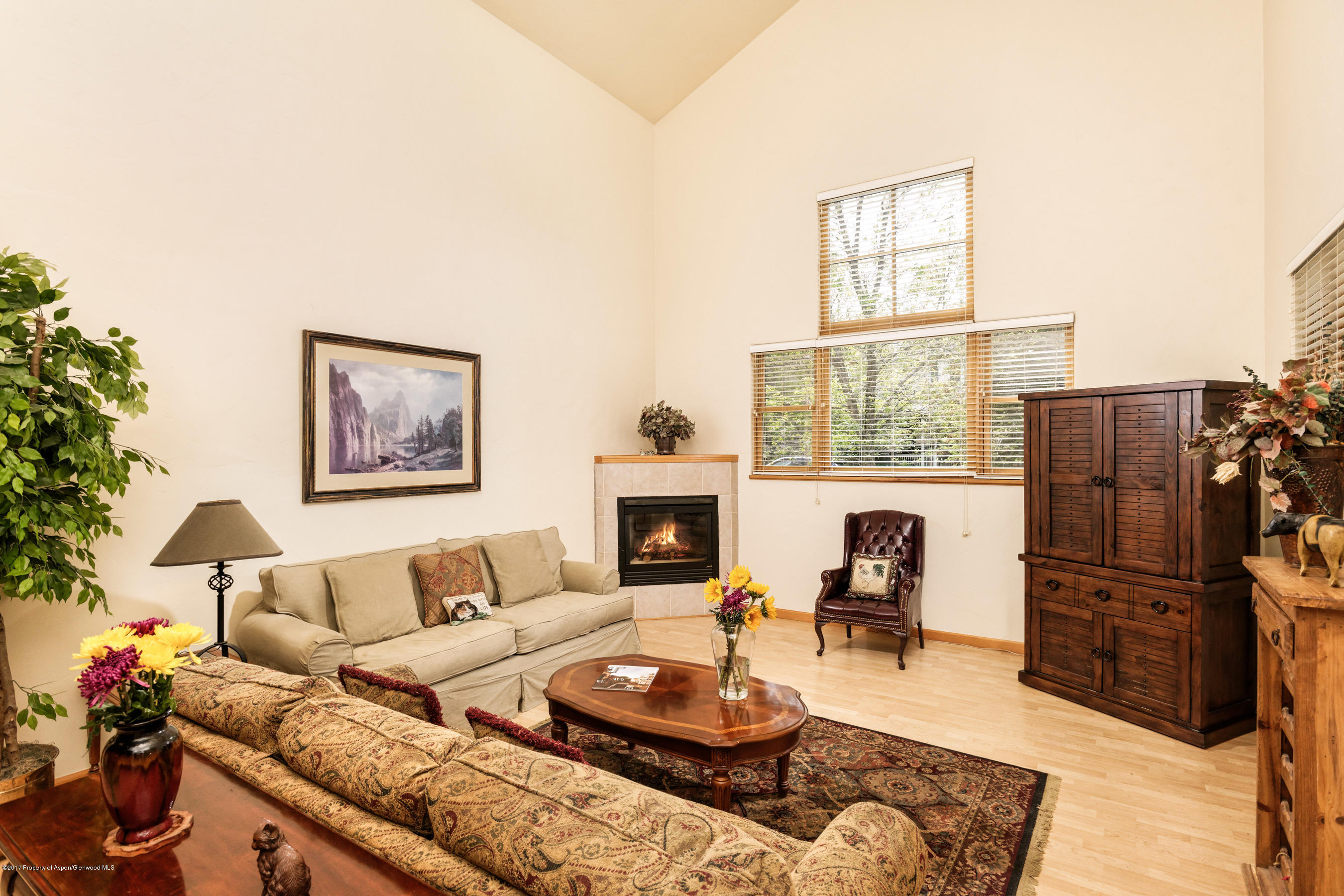 351 Branding Way Basalt CO 81621