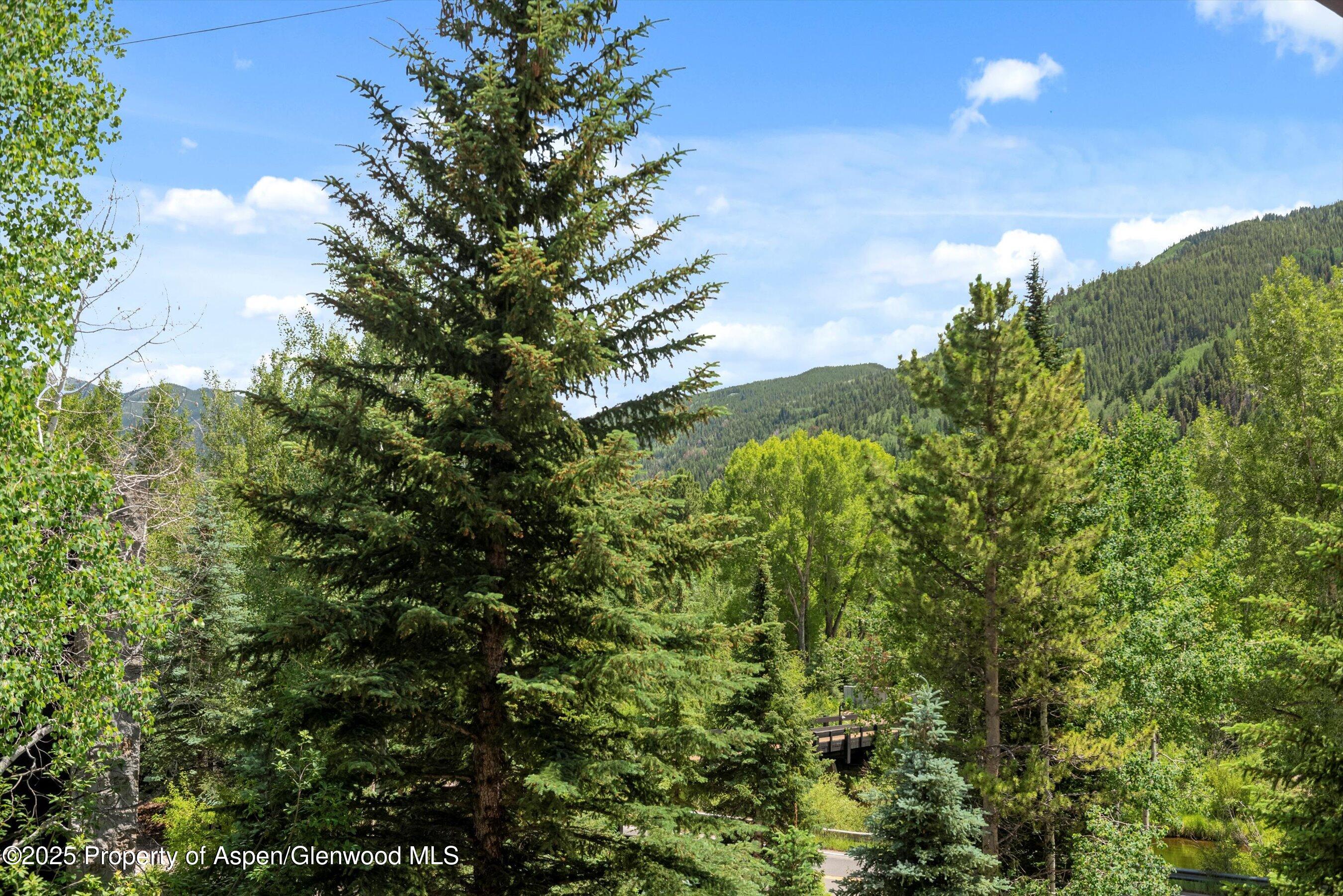 42703 Highway 82 Aspen CO 81611
