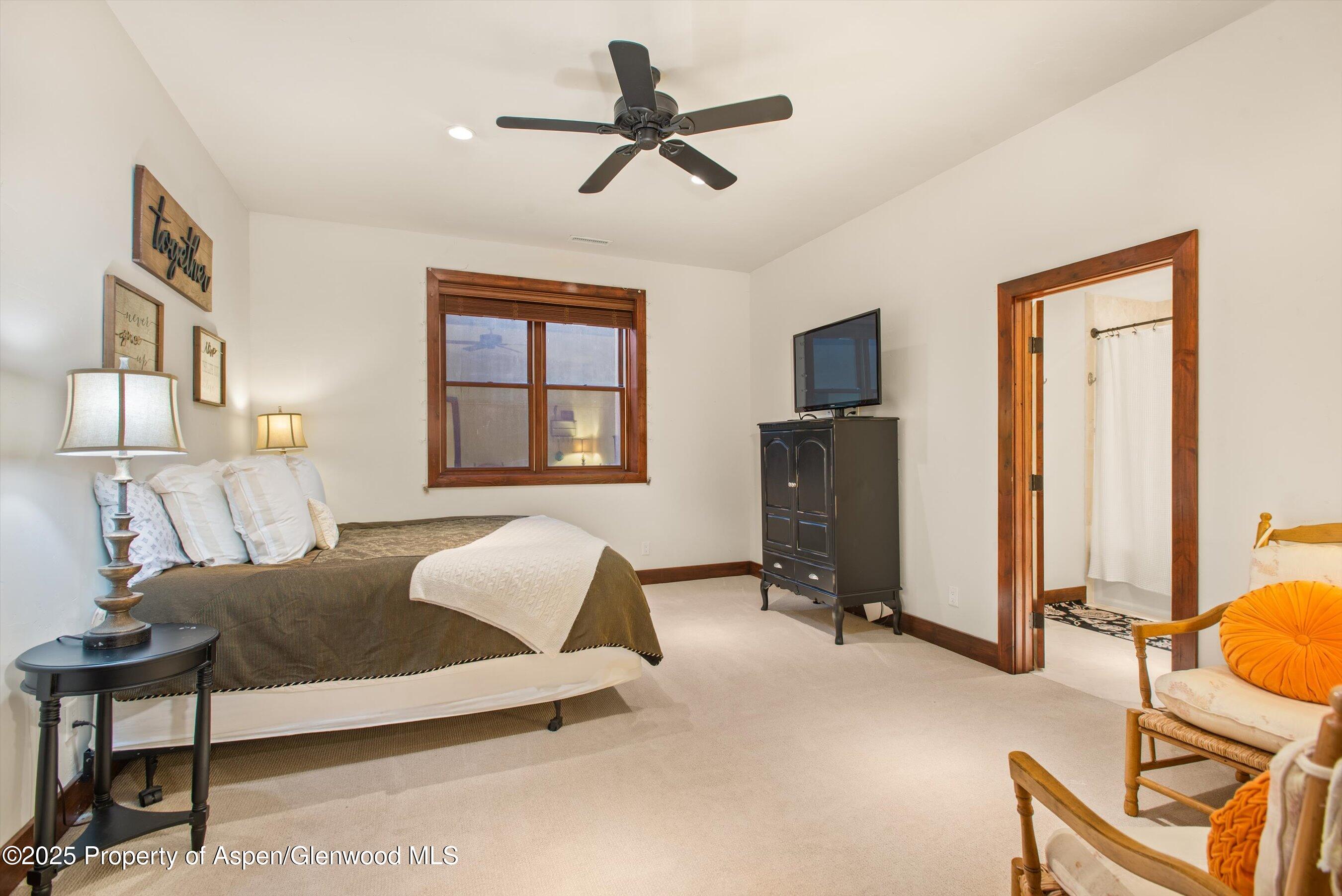 289 Sweetgrass Carbondale CO 81623