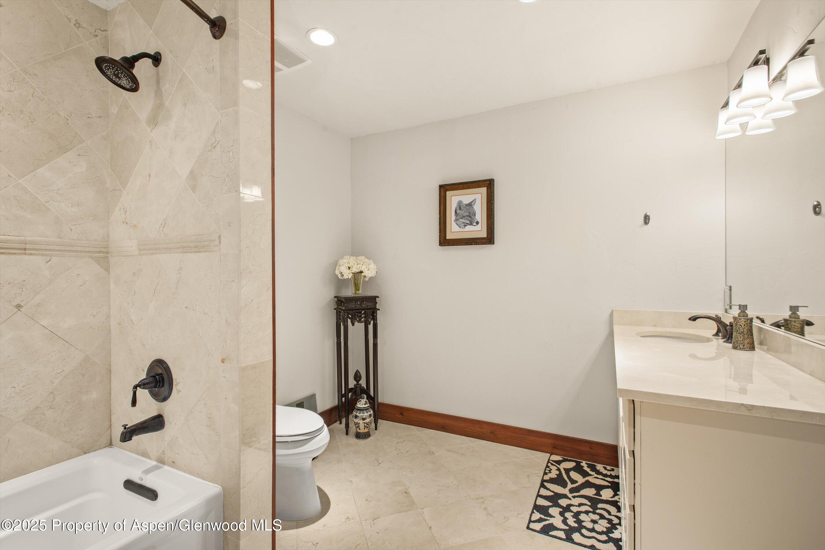 289 Sweetgrass Carbondale CO 81623