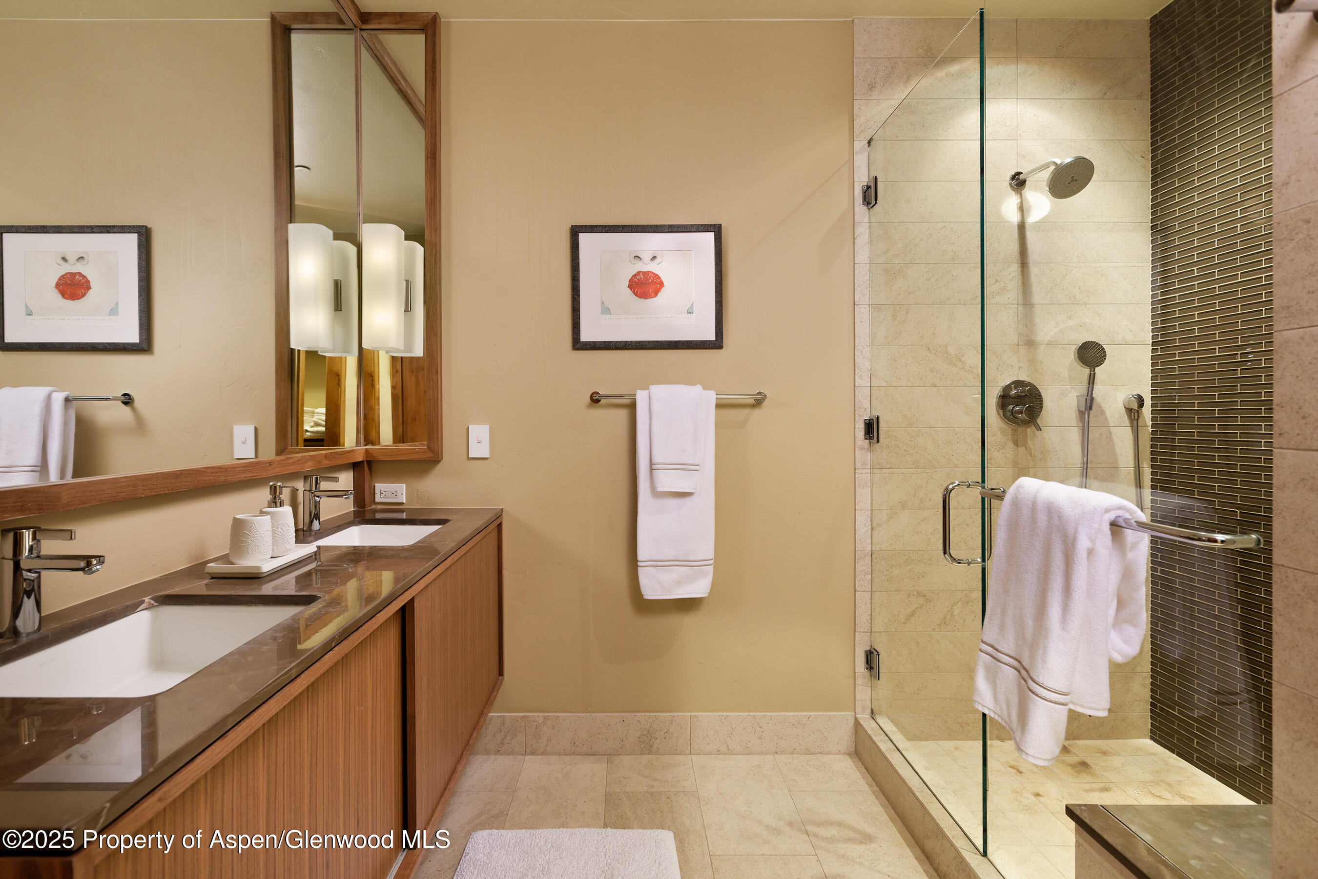 1395 Sierra Vista Drive Aspen CO 81611