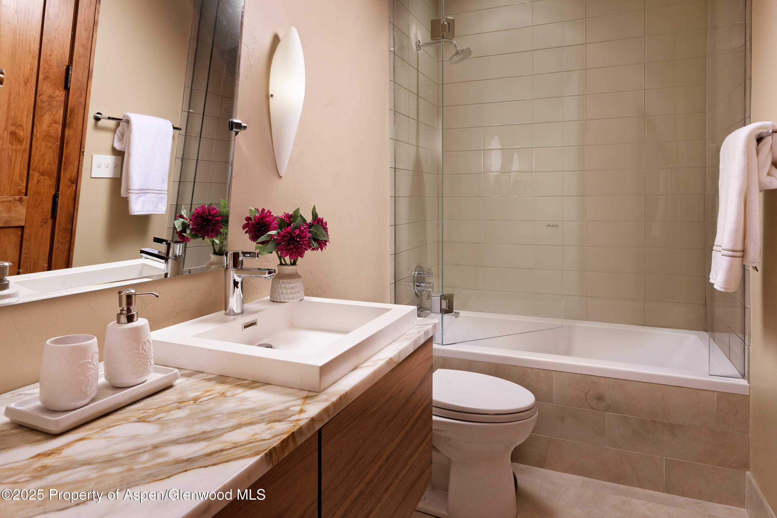 1395 Sierra Vista Drive Aspen CO 81611