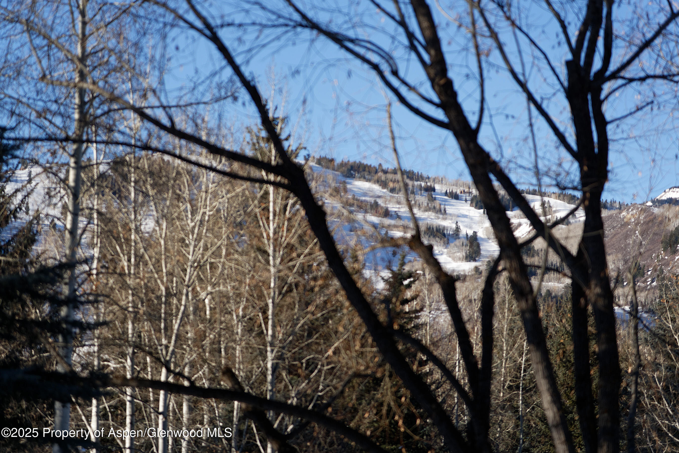 1395 Sierra Vista Drive Aspen CO 81611