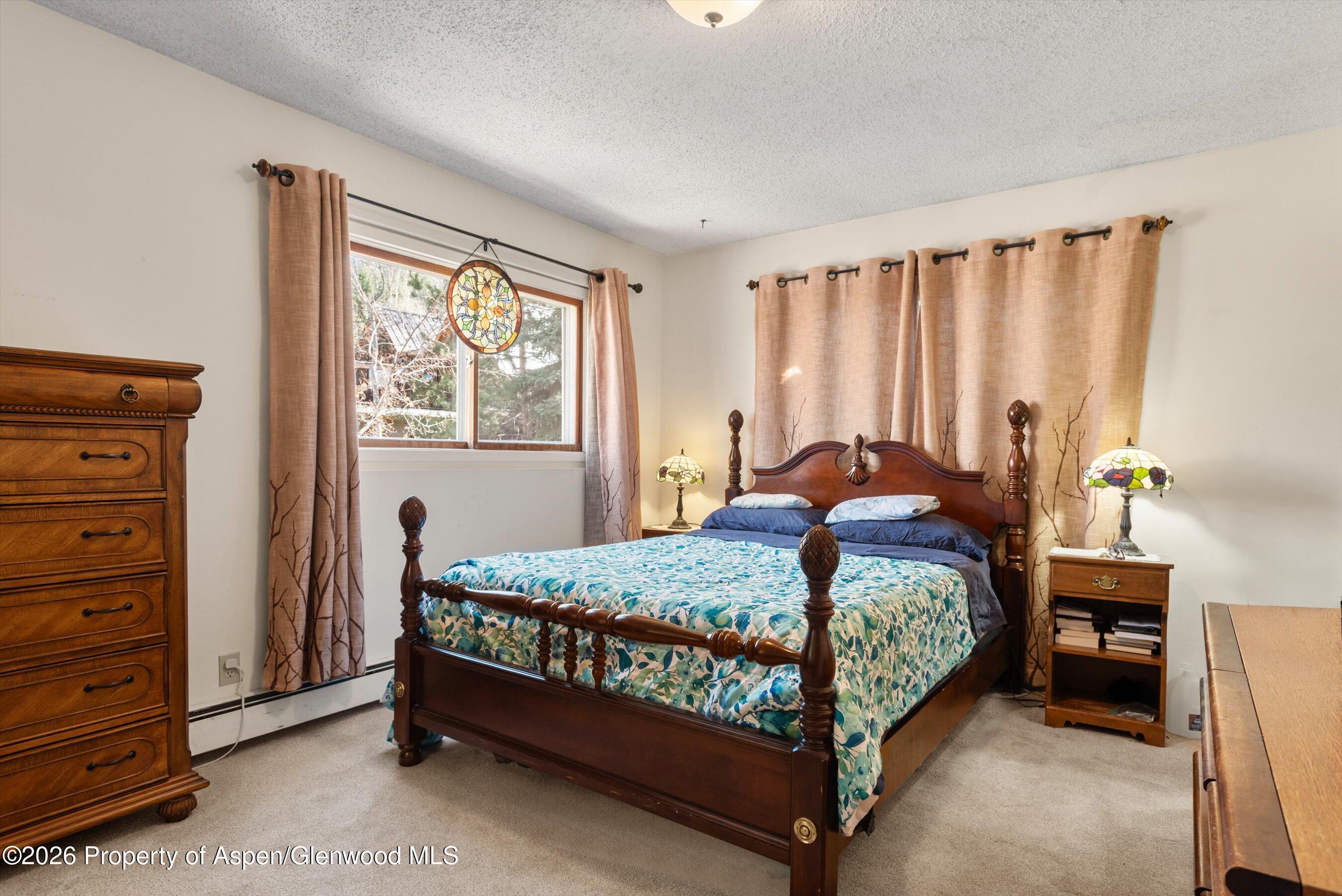 534 And 53 Spruce Street Aspen CO 81611