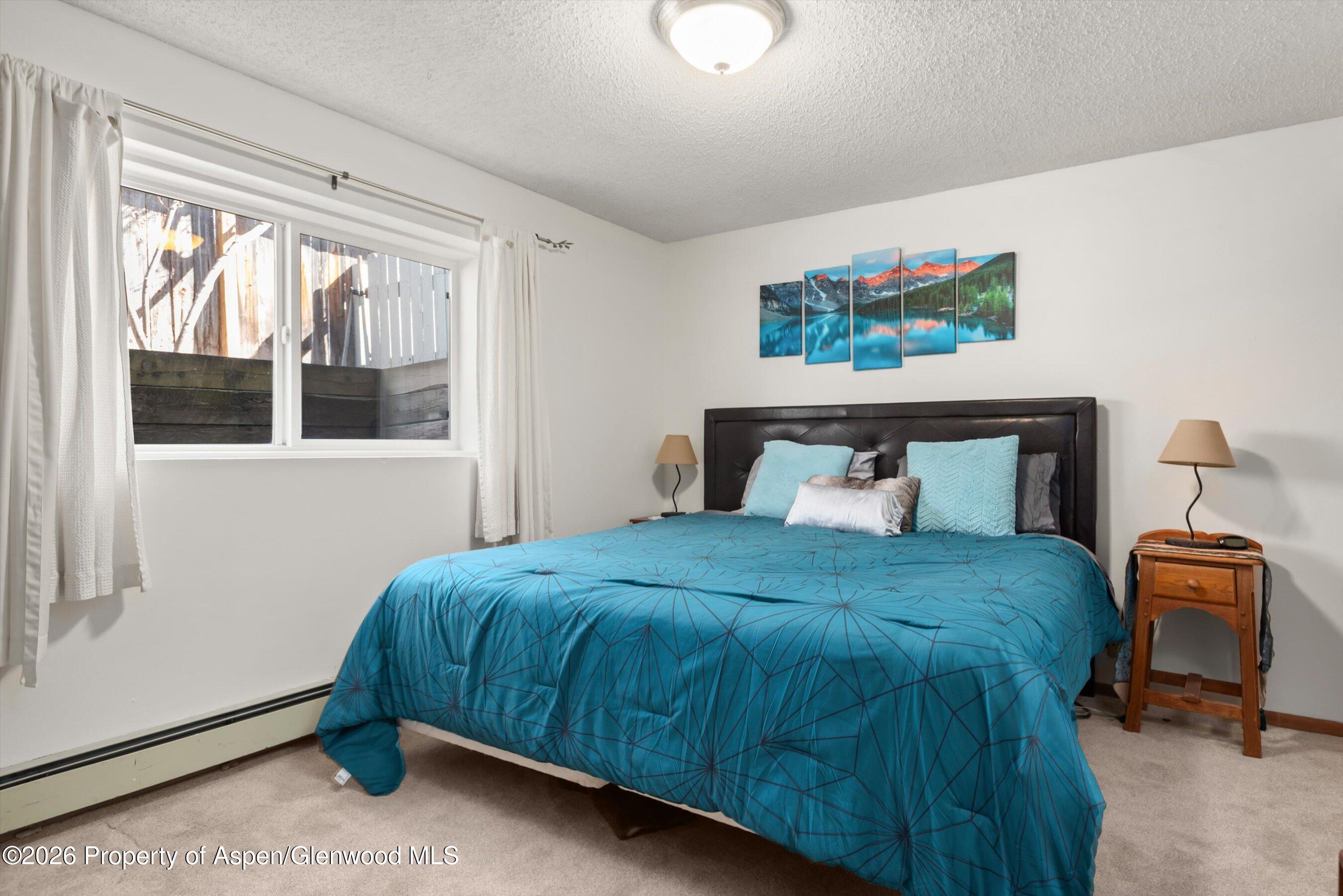534 And 53 Spruce Street Aspen CO 81611