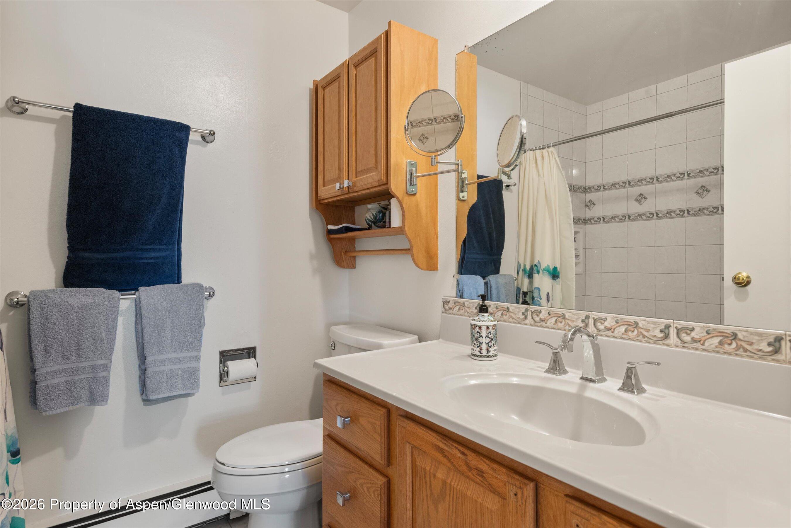 534 And 53 Spruce Street Aspen CO 81611