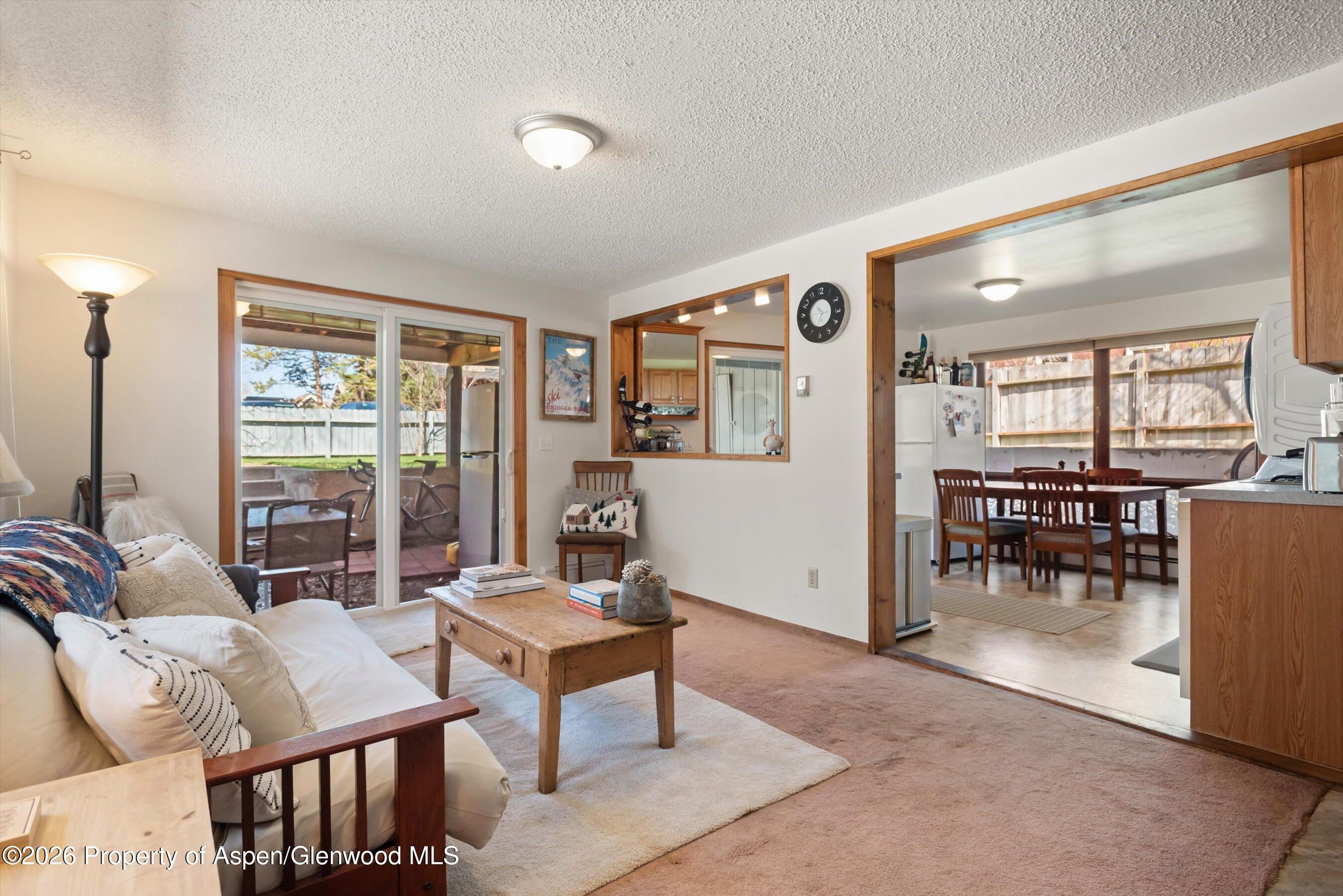 534 And 53 Spruce Street Aspen CO 81611