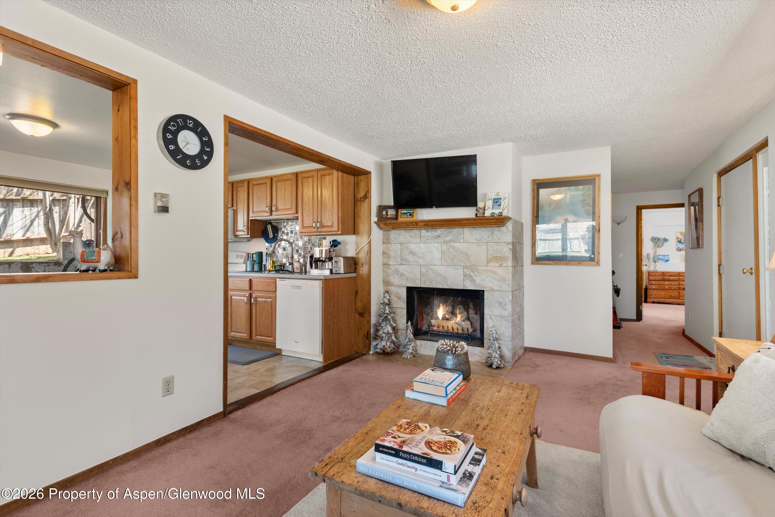 534 And 53 Spruce Street Aspen CO 81611
