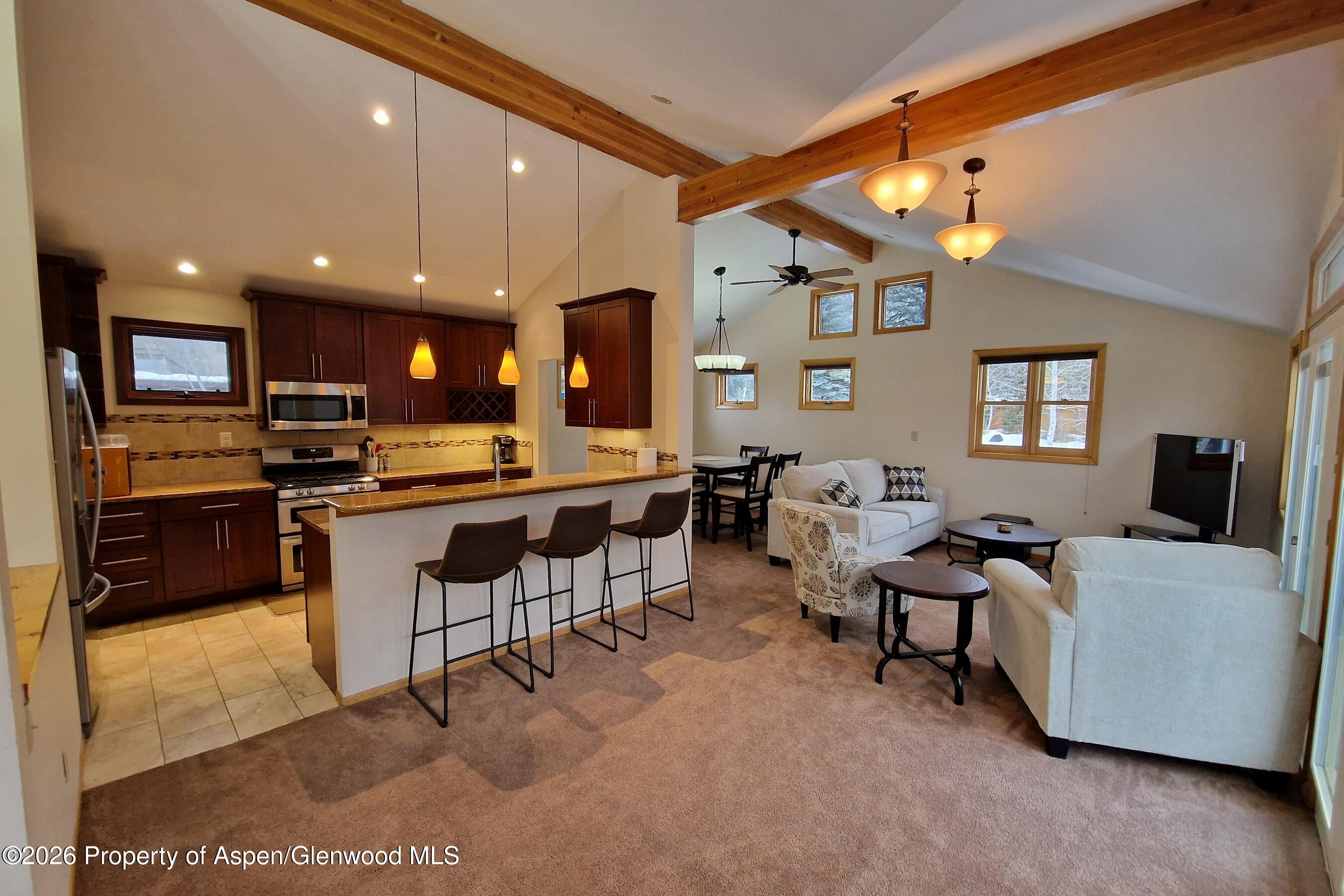 534 And 536 Spruce Street Aspen CO 81611