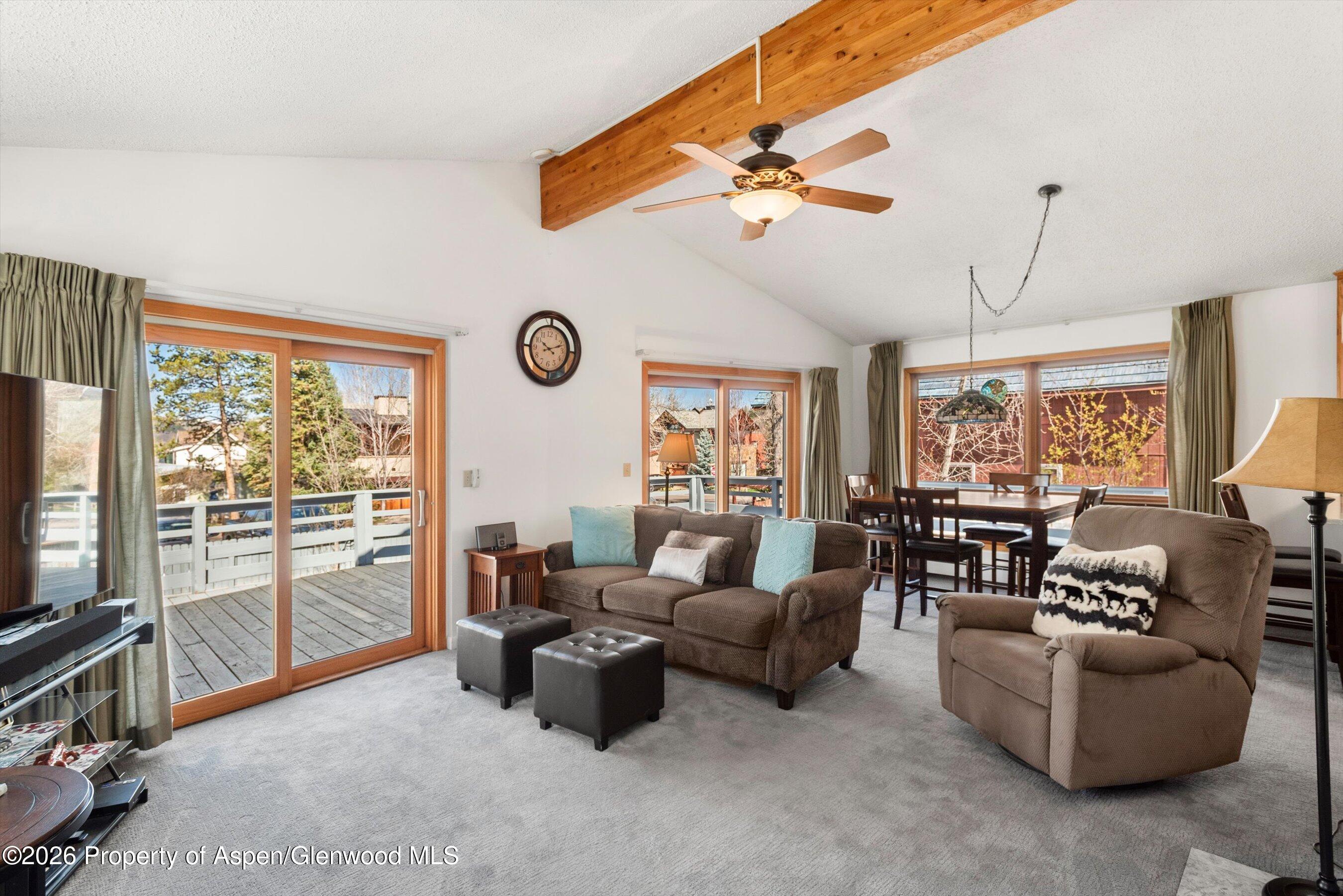 534 And 53 Spruce Street Aspen CO 81611