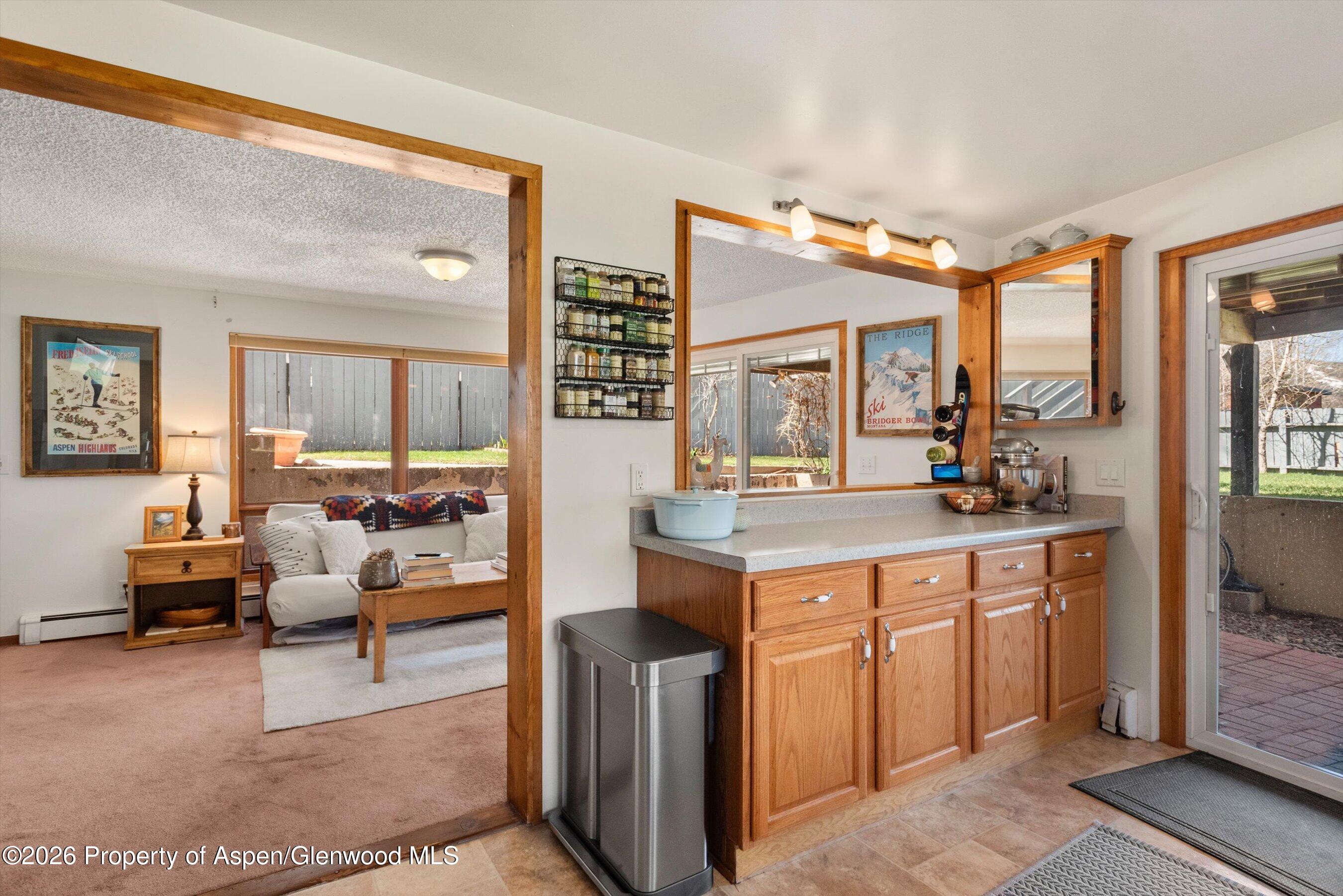 534 And 53 Spruce Street Aspen CO 81611