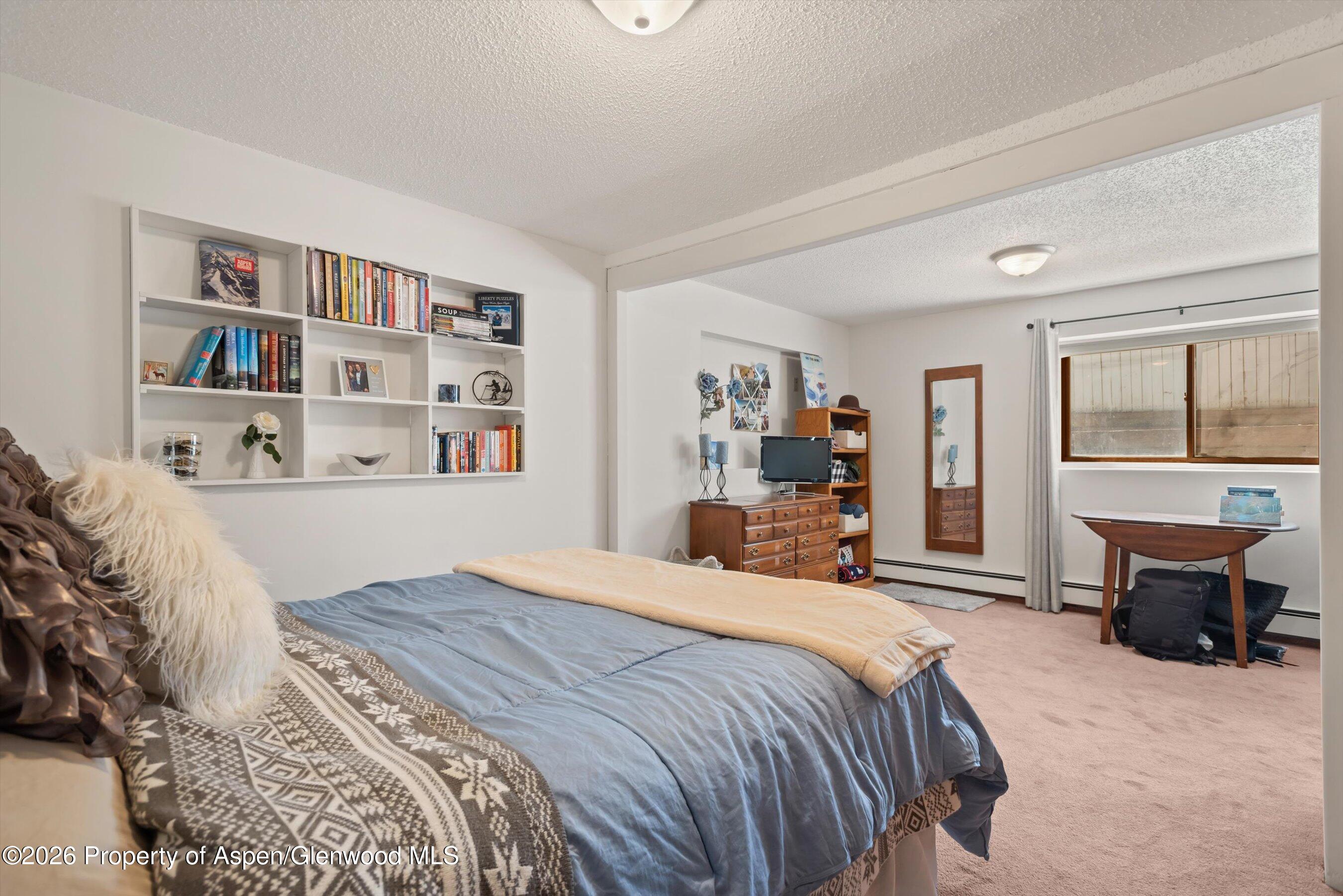 534 And 53 Spruce Street Aspen CO 81611