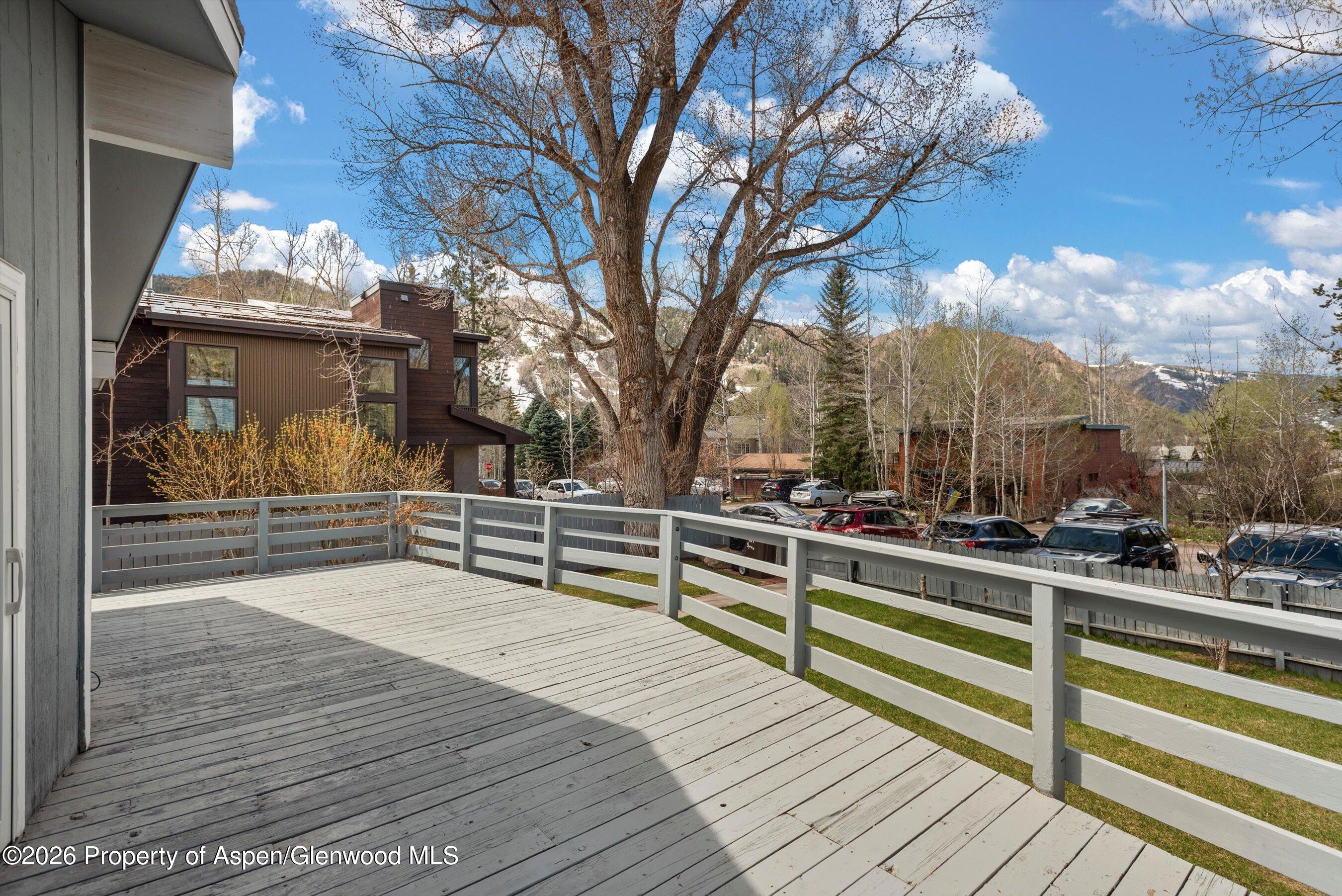 534 And 53 Spruce Street Aspen CO 81611