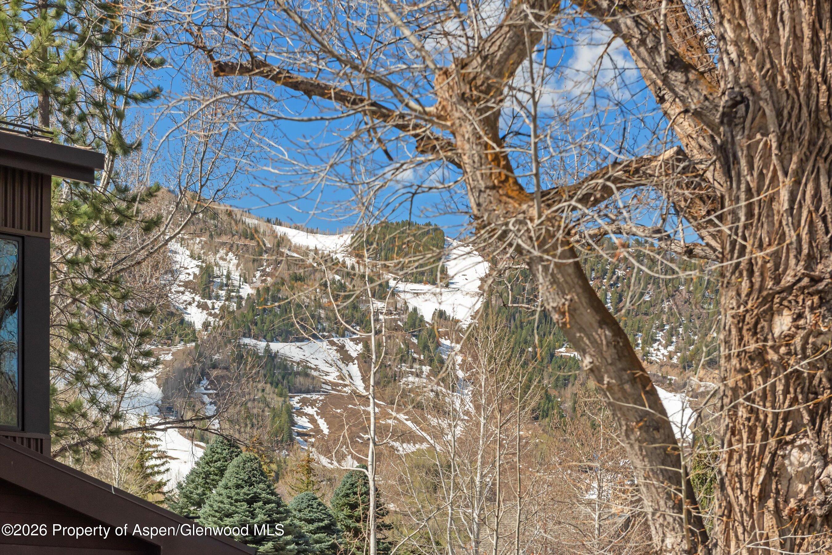 534 And 53 Spruce Street Aspen CO 81611