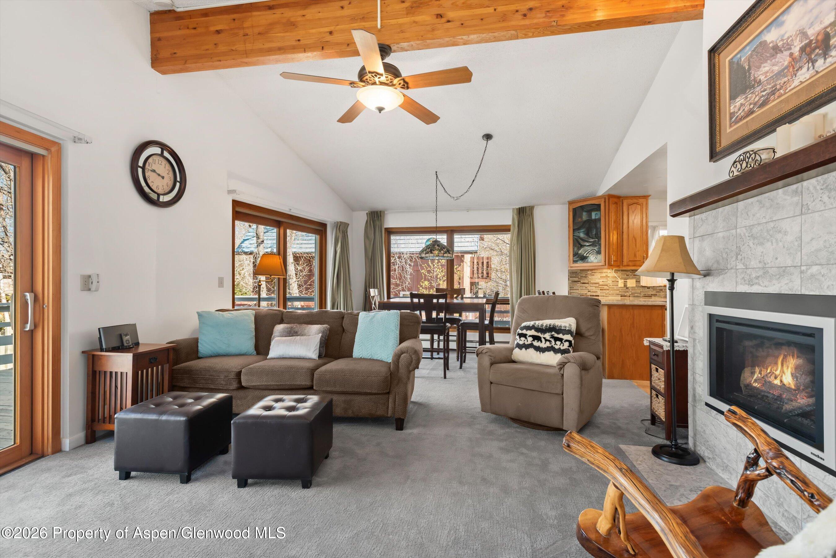 534 And 53 Spruce Street Aspen CO 81611