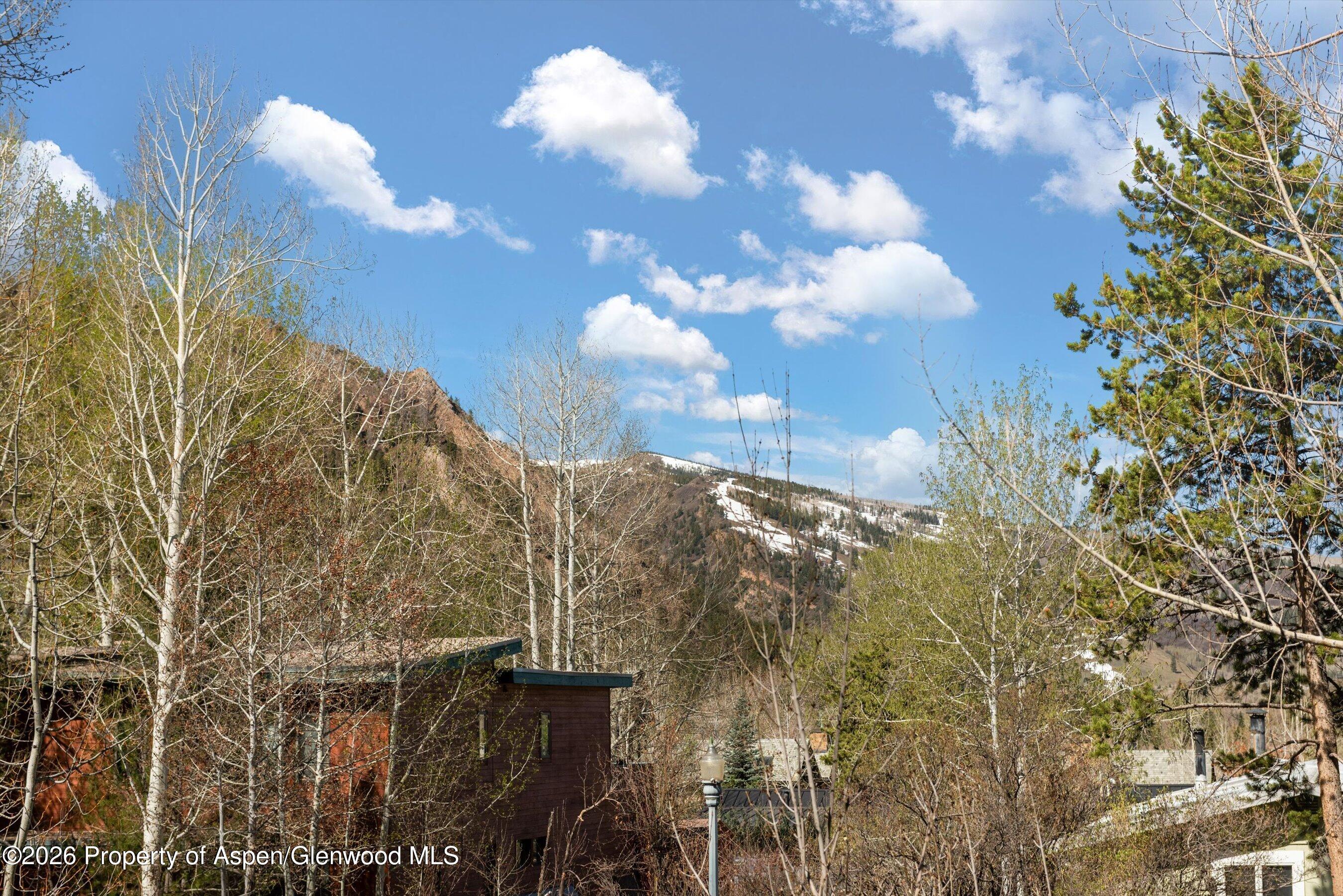 534 And 53 Spruce Street Aspen CO 81611
