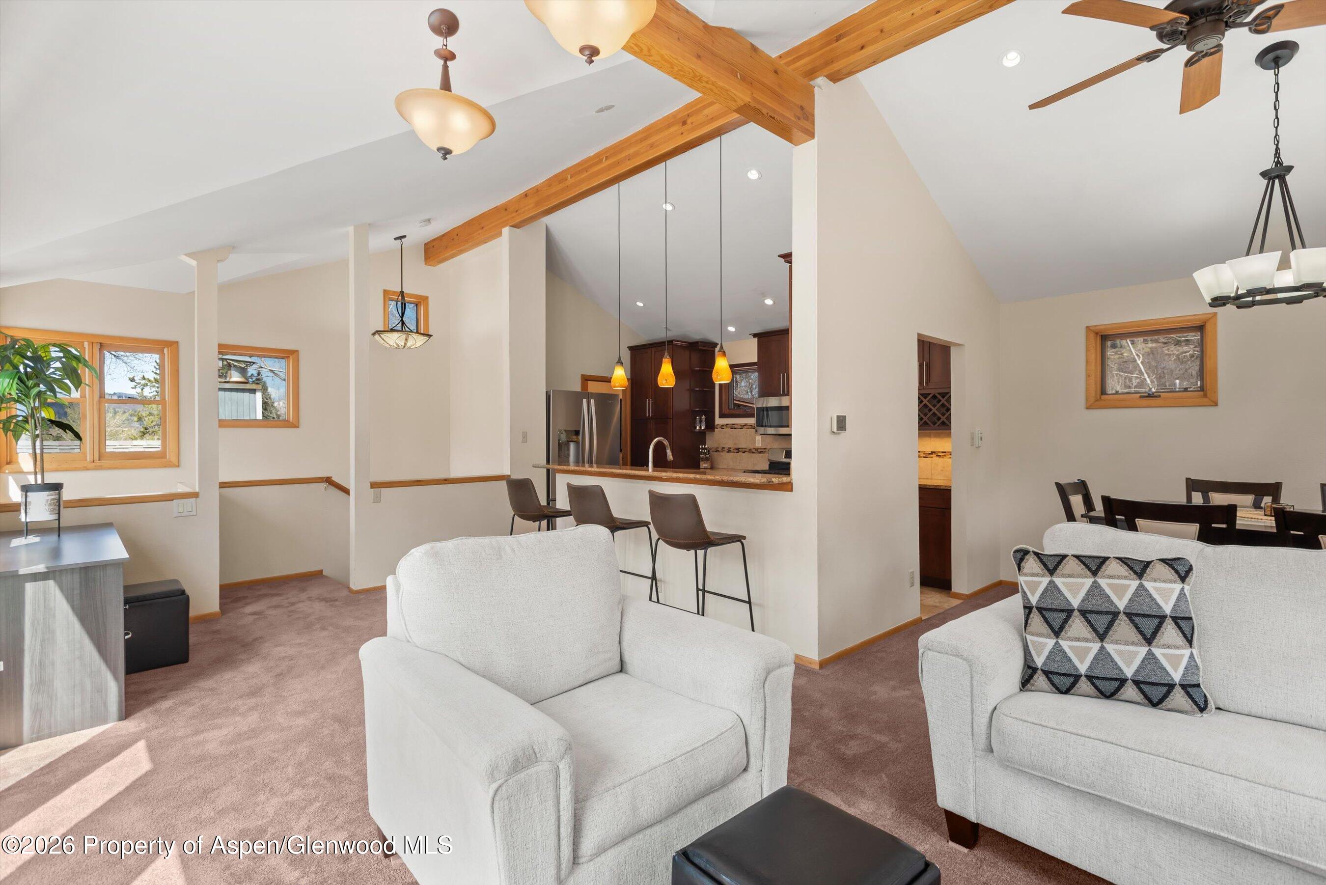 534 And 53 Spruce Street Aspen CO 81611