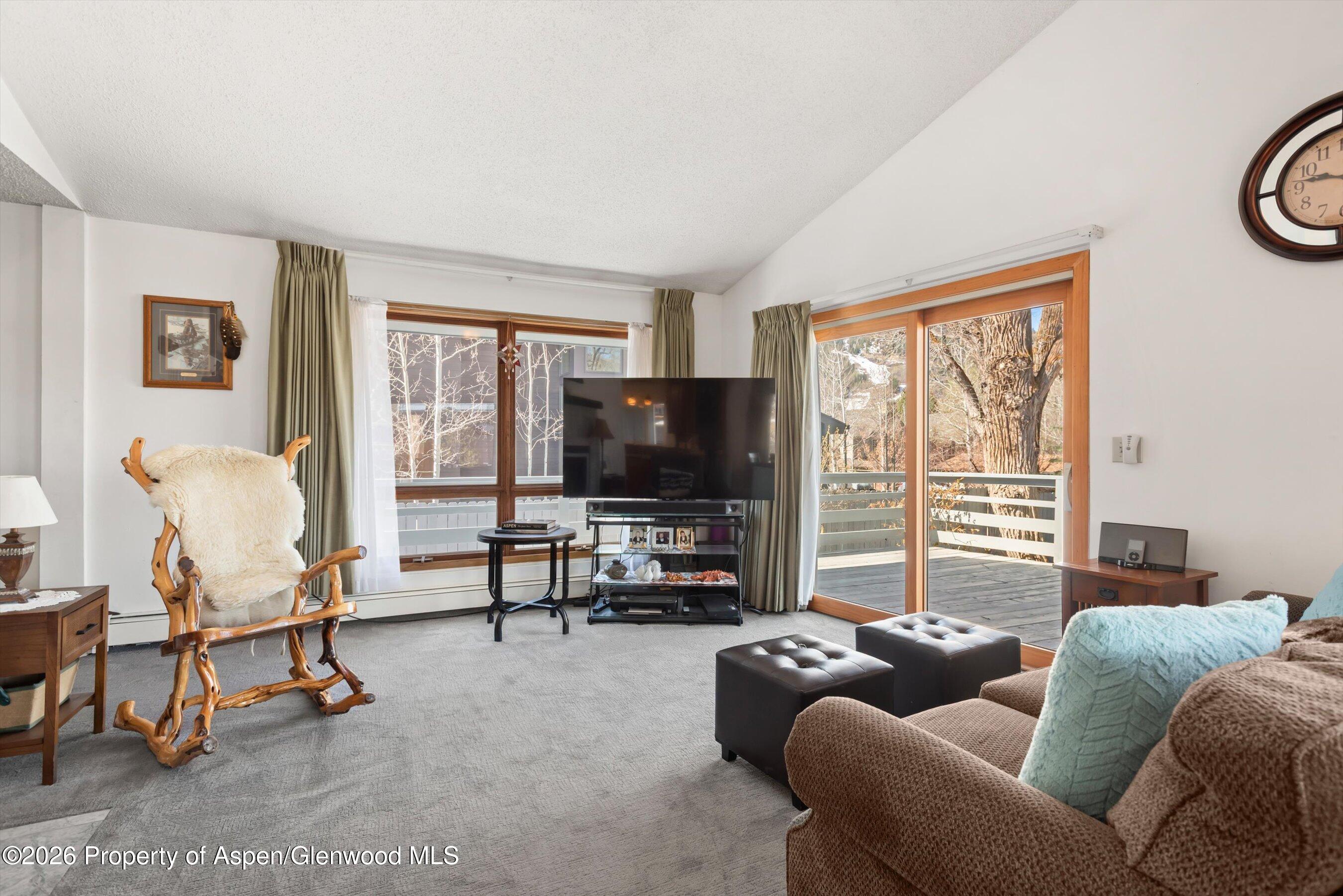 534 And 53 Spruce Street Aspen CO 81611