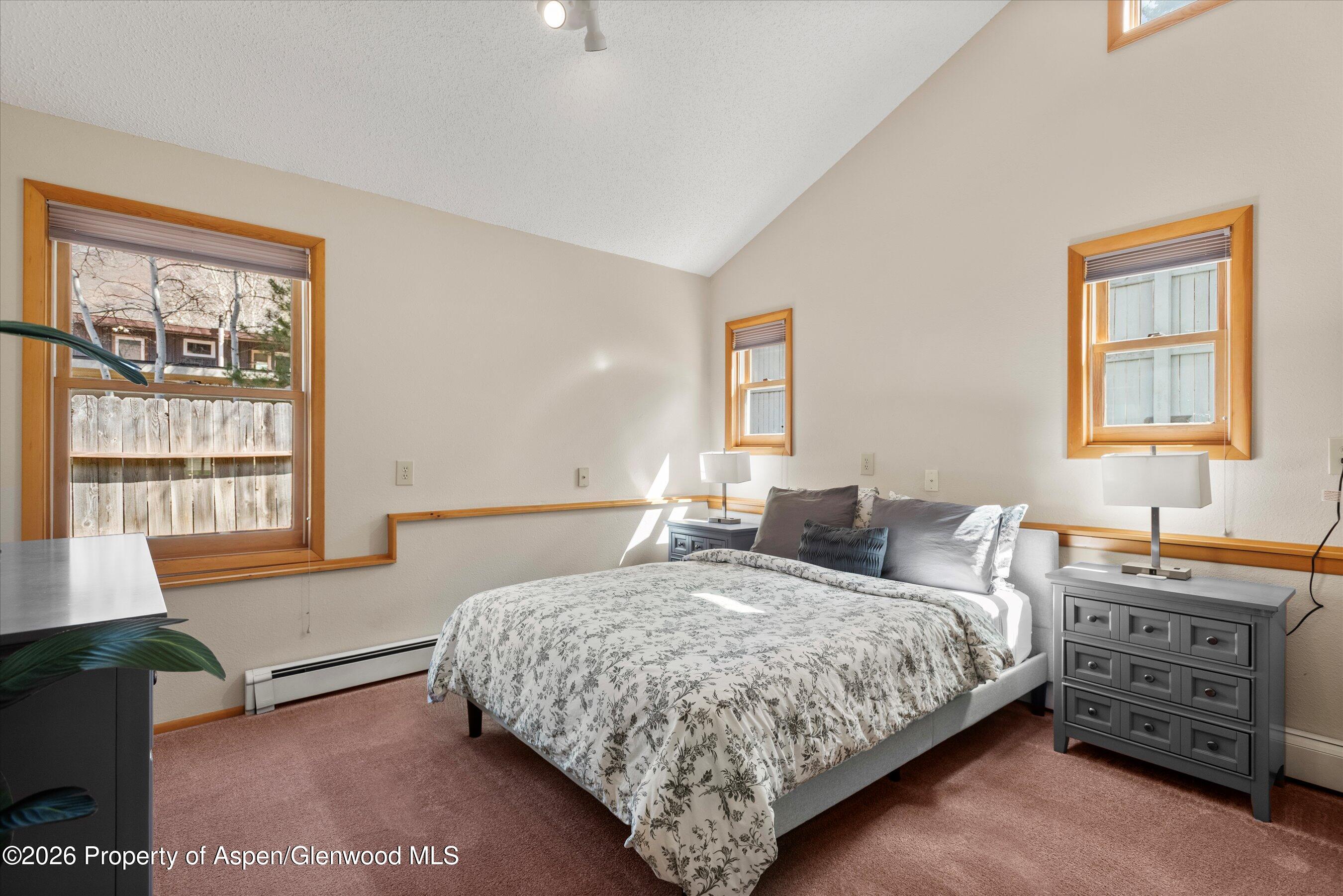 534 And 53 Spruce Street Aspen CO 81611