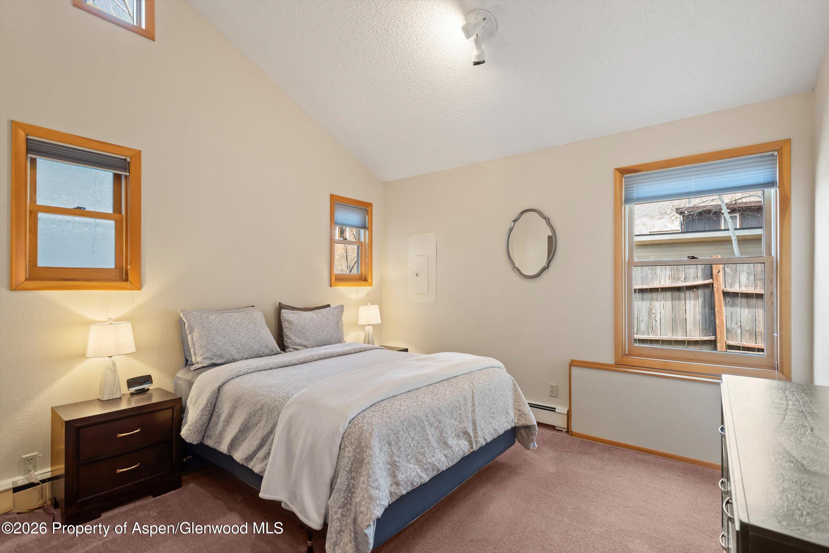 534 And 53 Spruce Street Aspen CO 81611