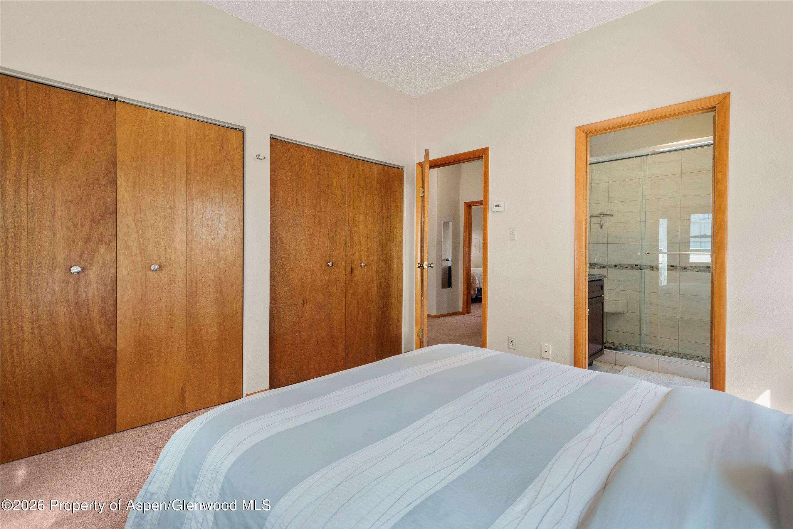 534 And 53 Spruce Street Aspen CO 81611