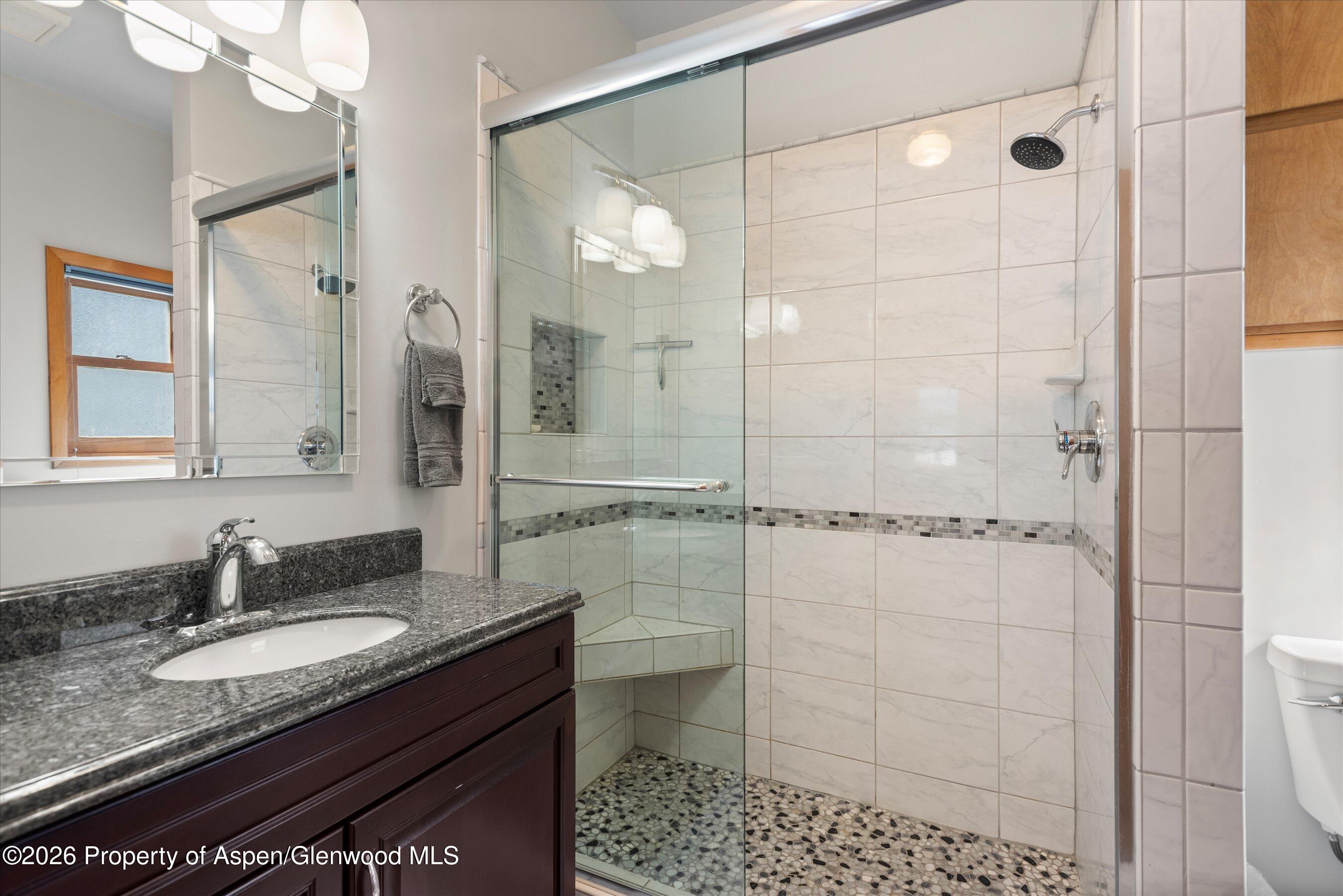 534 And 53 Spruce Street Aspen CO 81611