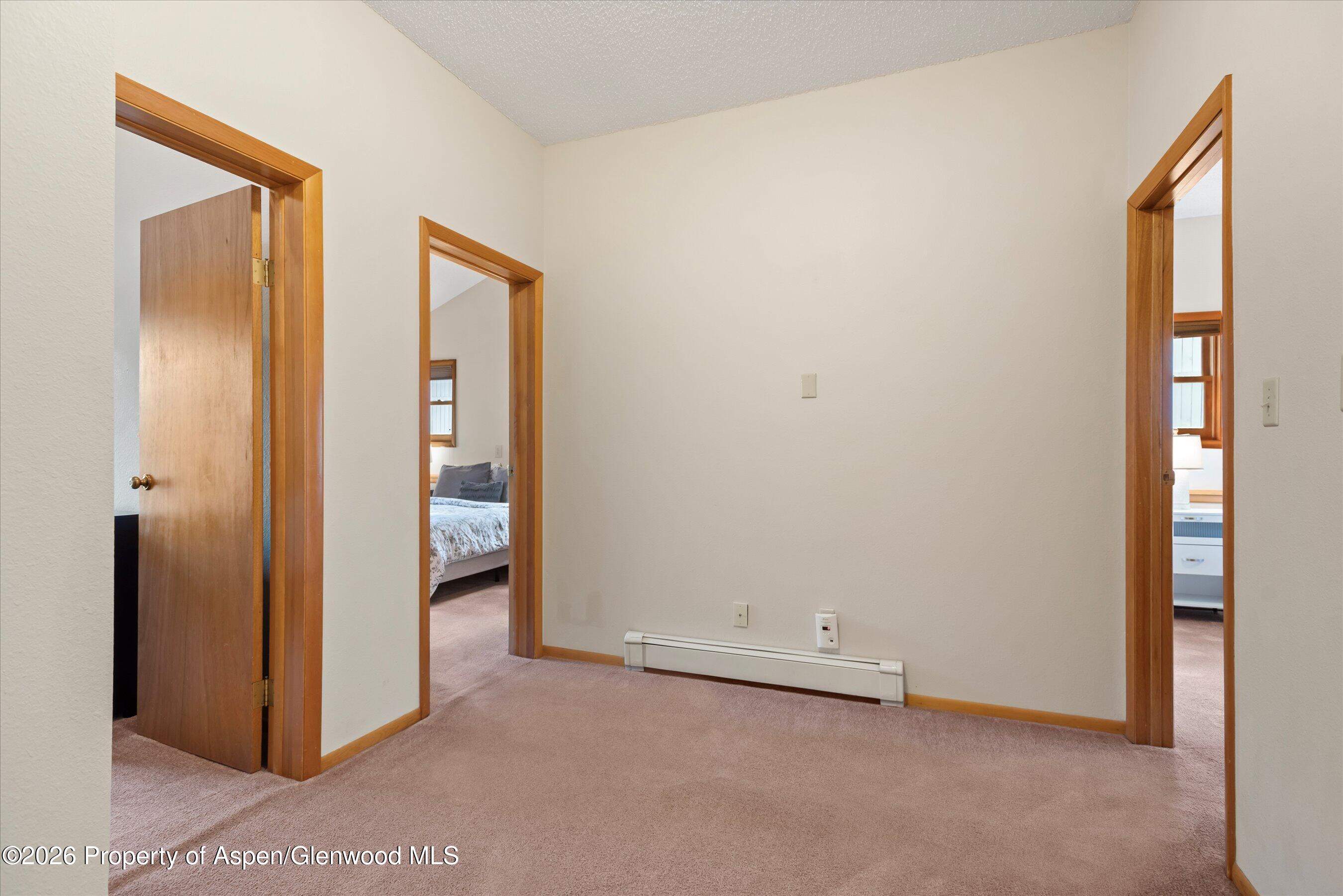 534 And 53 Spruce Street Aspen CO 81611