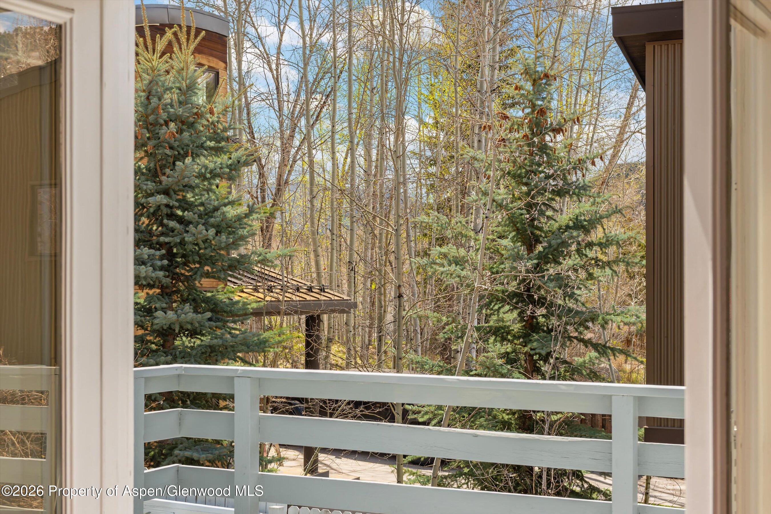 534 And 53 Spruce Street Aspen CO 81611