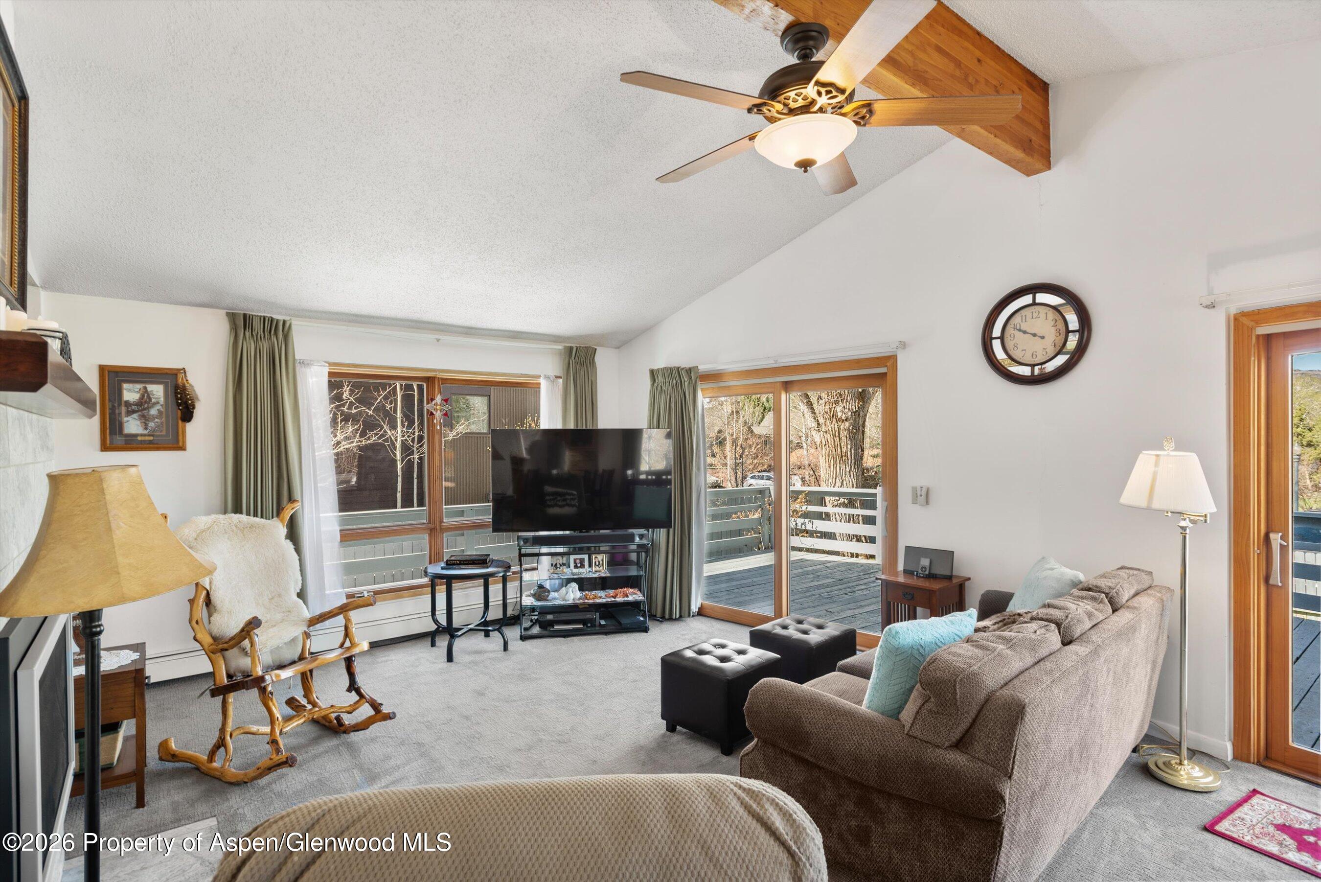 534 And 53 Spruce Street Aspen CO 81611