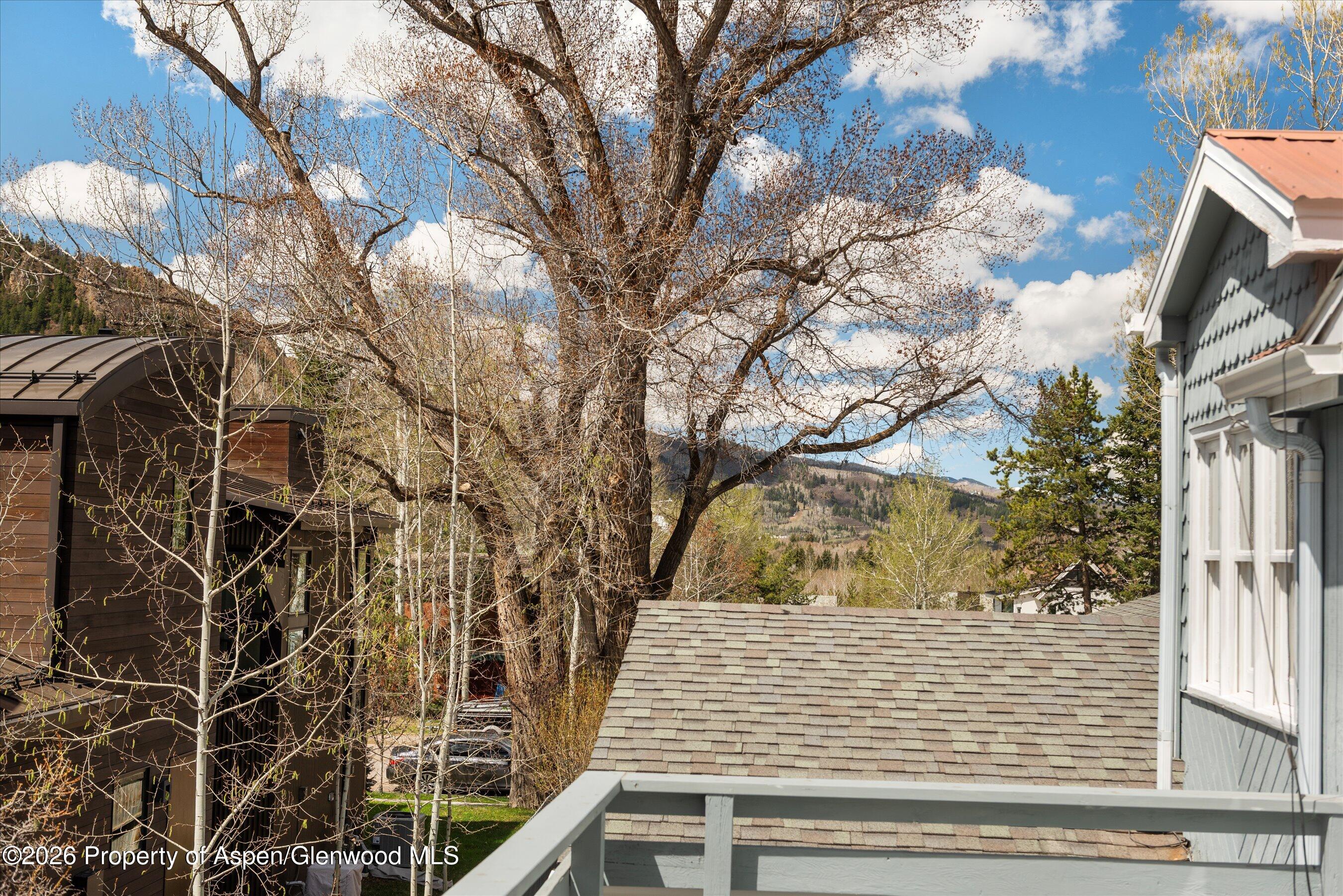 534 And 53 Spruce Street Aspen CO 81611