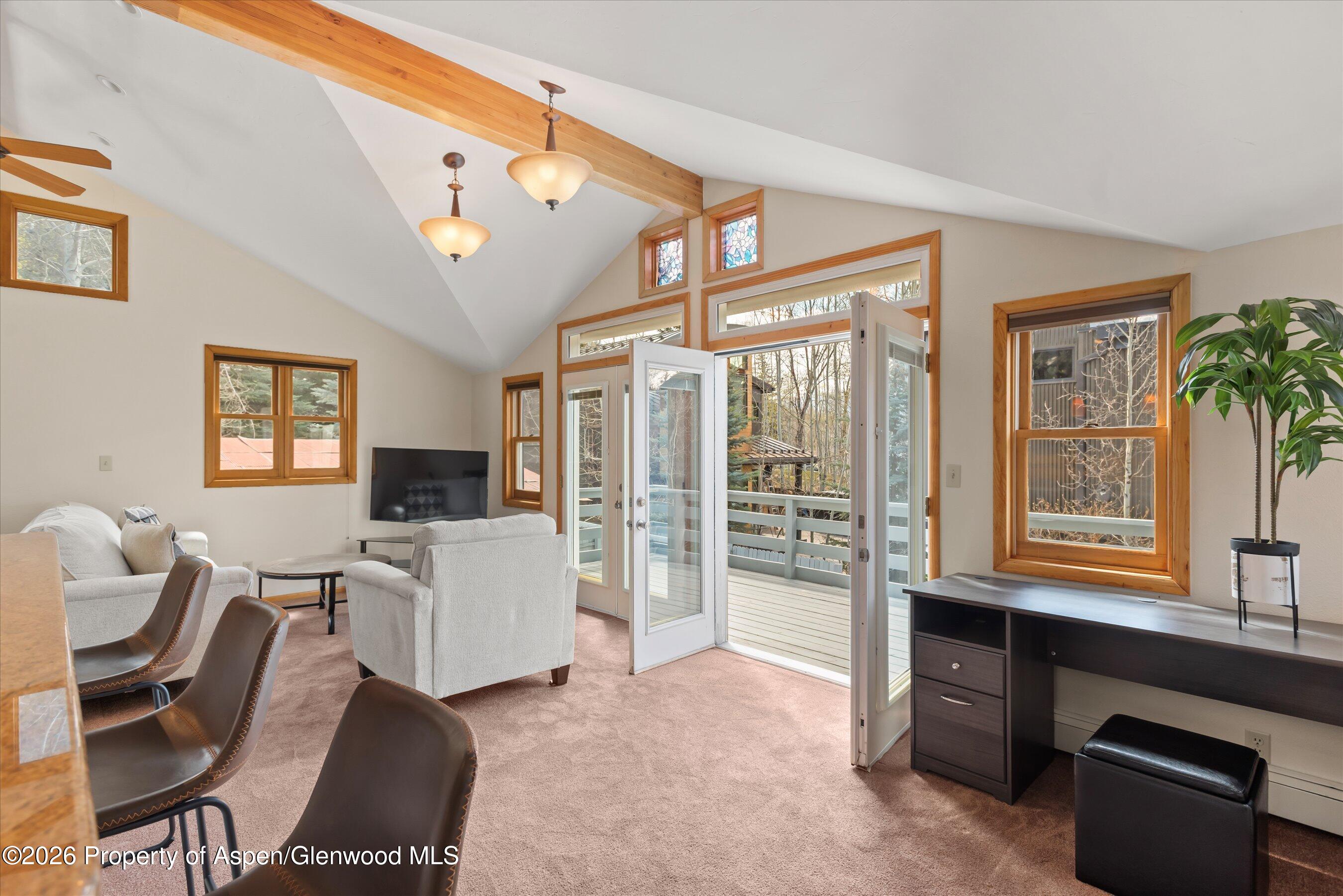 534 And 53 Spruce Street Aspen CO 81611