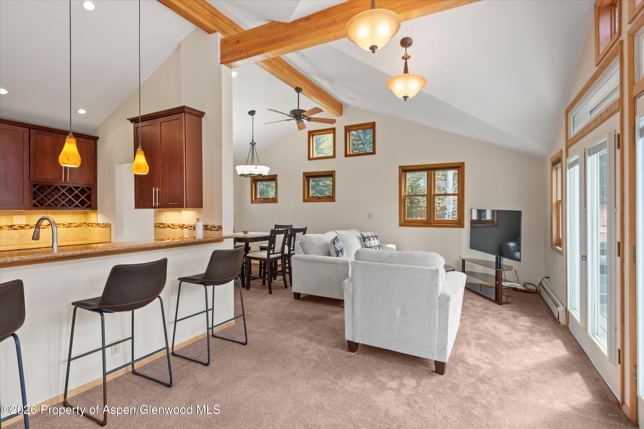 534 And 53 Spruce Street Aspen CO 81611