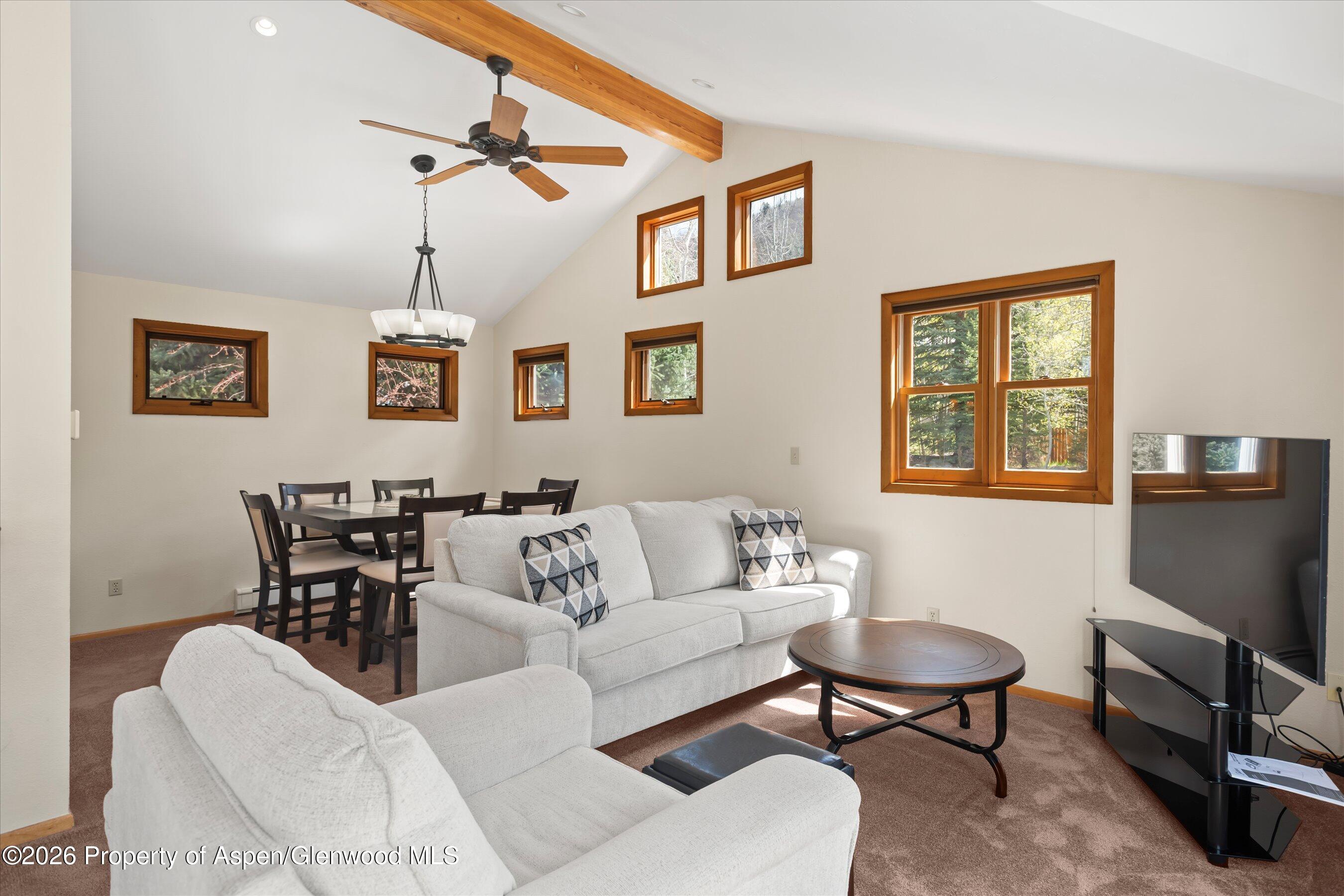 534 And 53 Spruce Street Aspen CO 81611