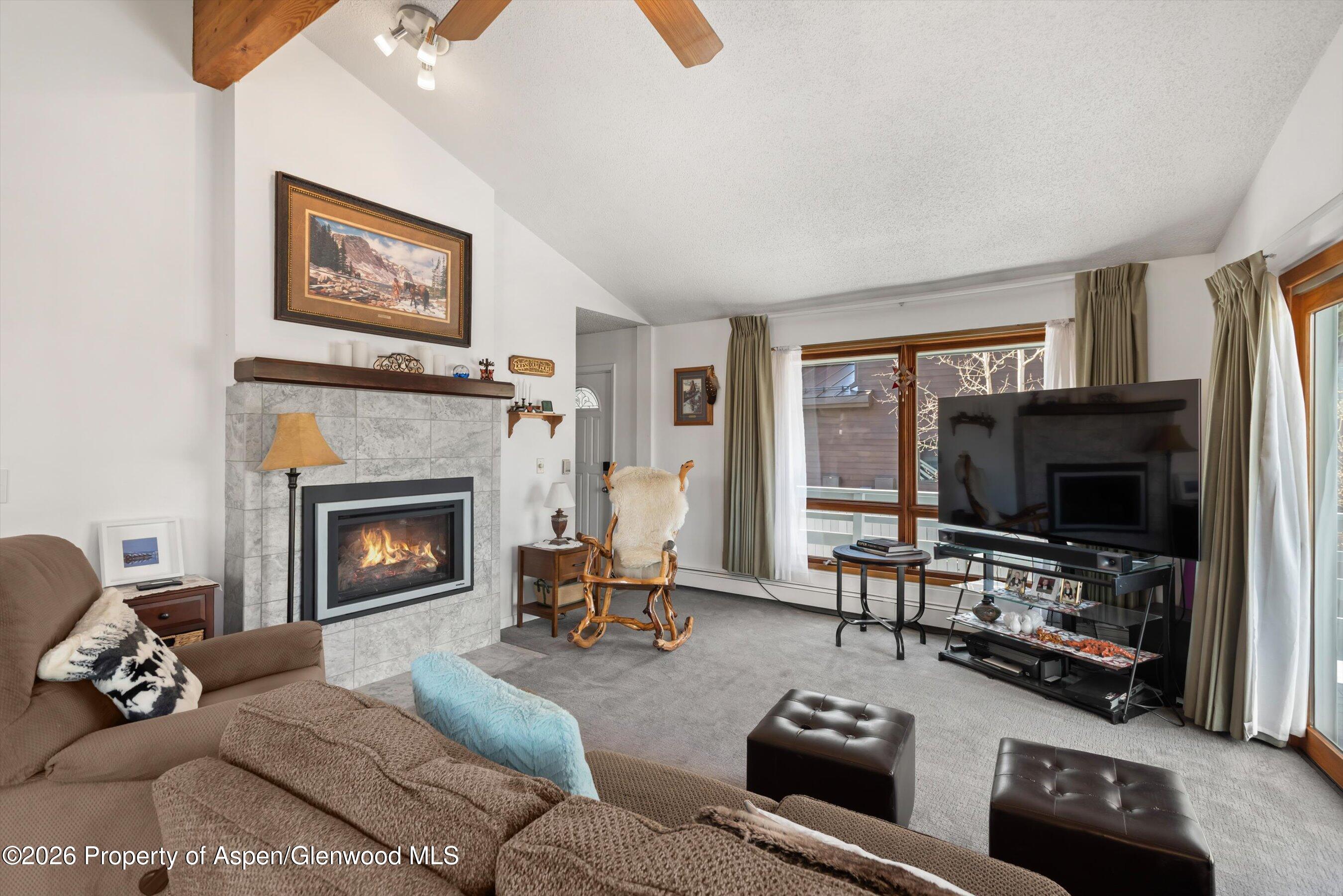 534 And 53 Spruce Street Aspen CO 81611