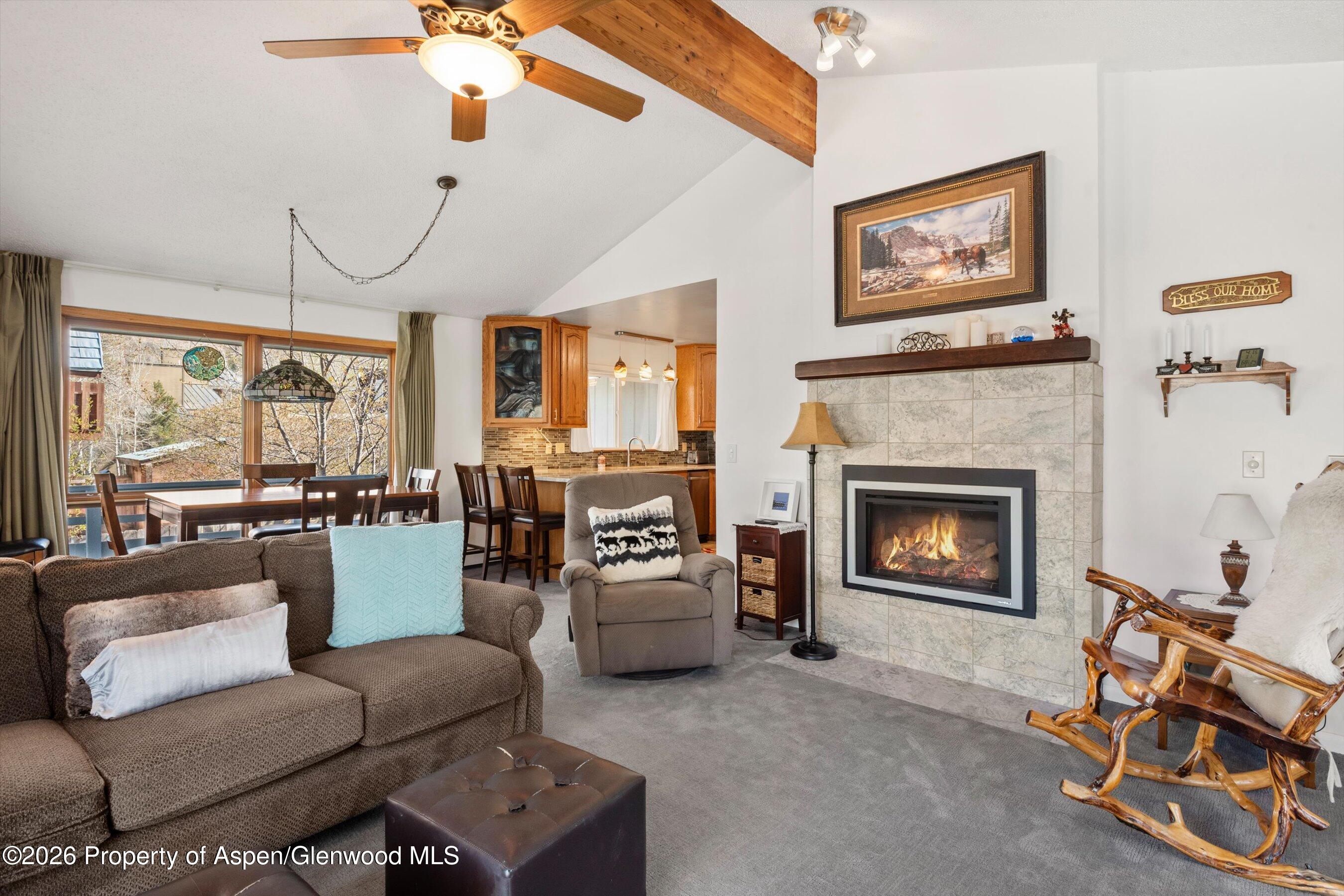 534 And 53 Spruce Street Aspen CO 81611